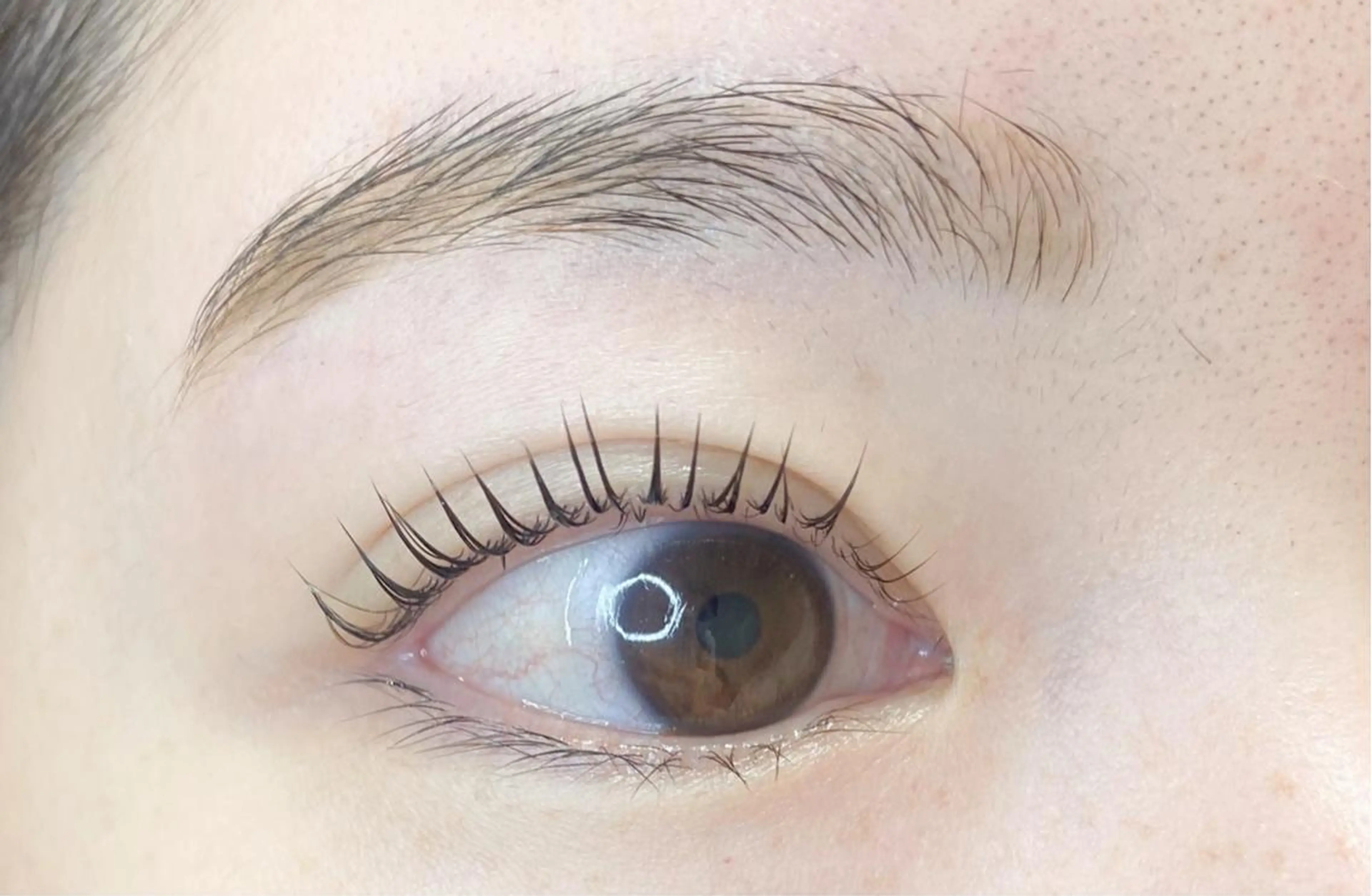 マツエク・マツパ アイブロウ パリジェンヌラッシュリフト マツパ 🌼nakamura megumi🌼のマツエク・マツパデザイン