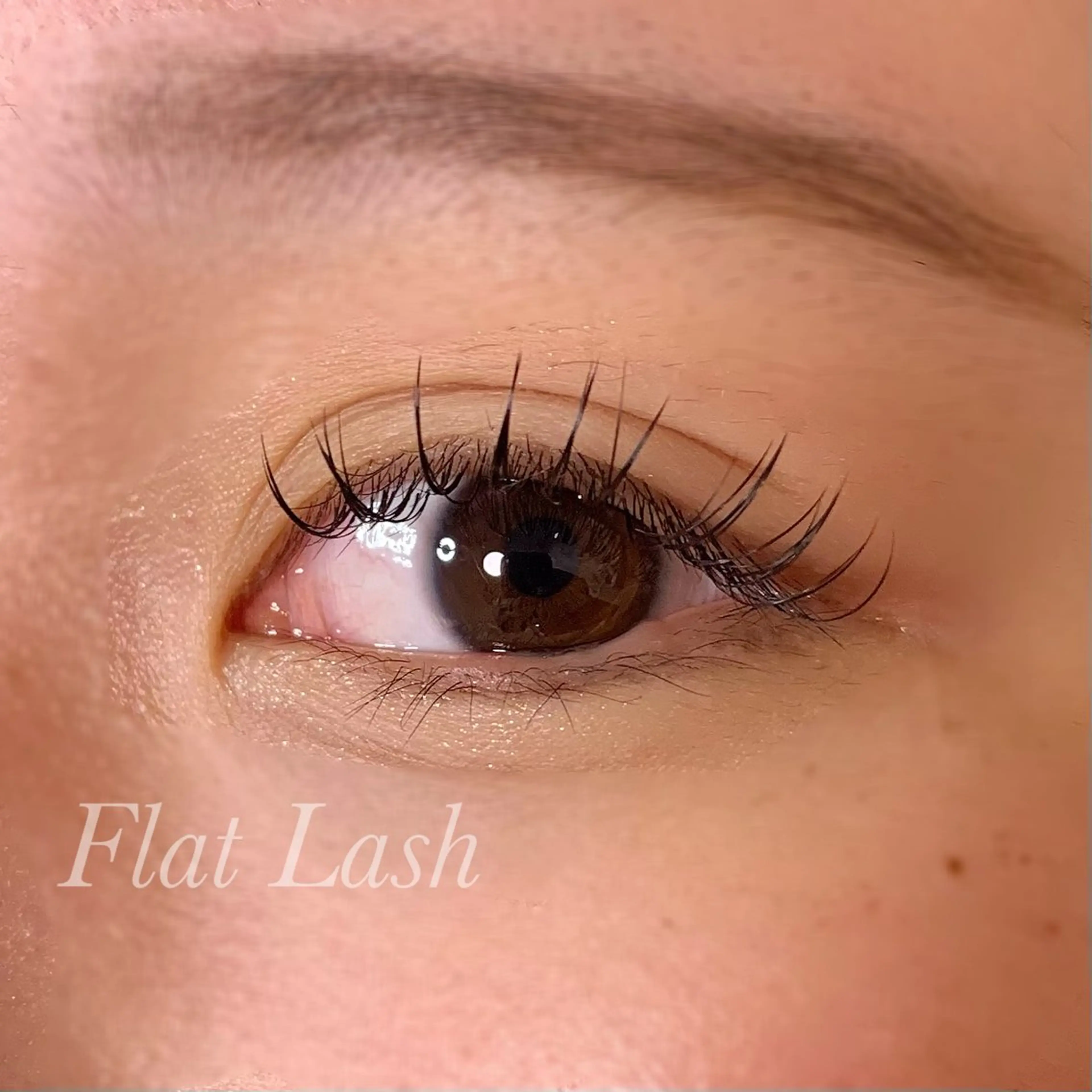 マツエク・マツパ CCカール Cカール フラットラッシュ マツエク Ayumi.pro 🍆N《4階》のマツエク・マツパデザイン