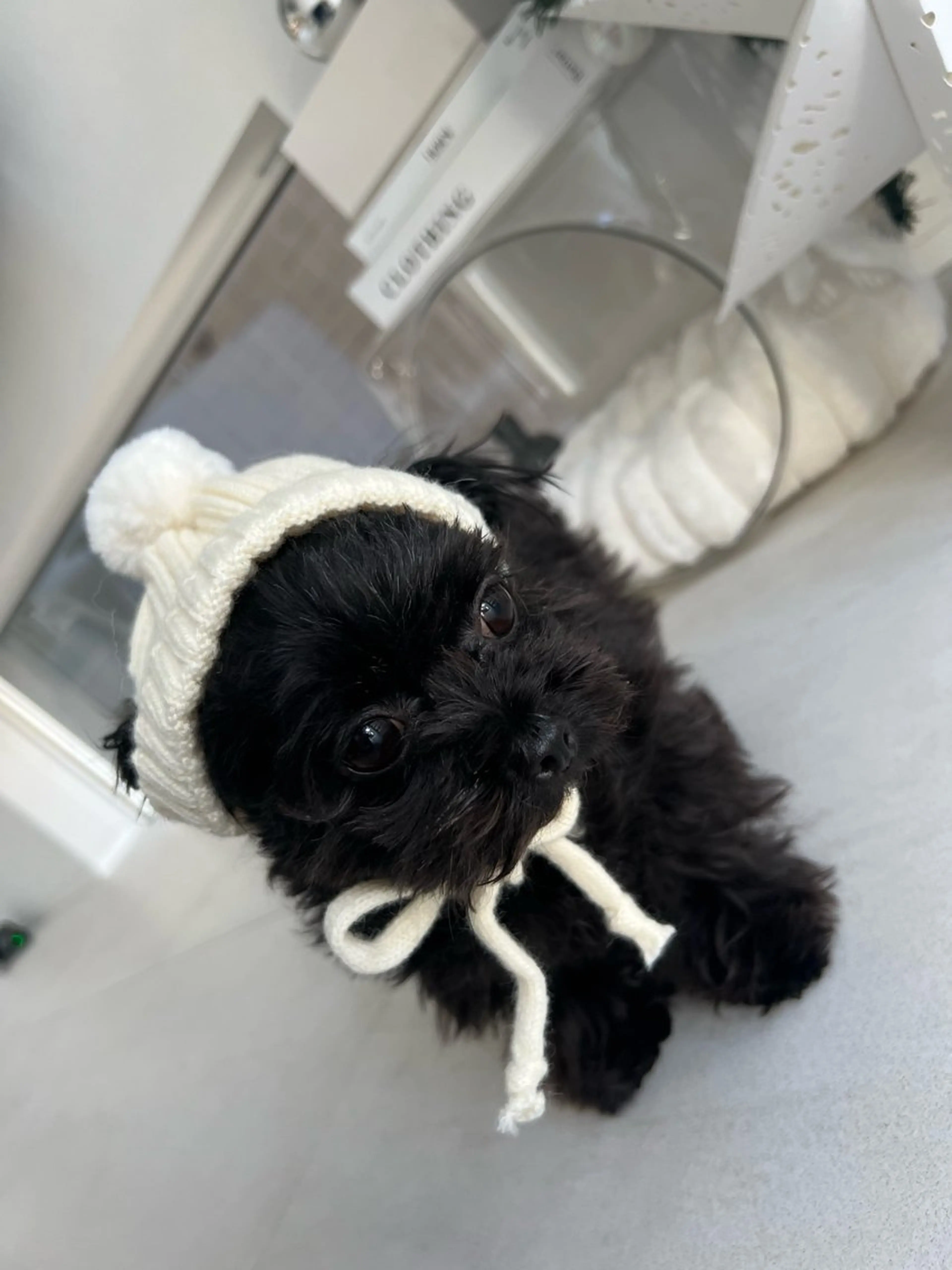 eye salon u-ga所属・eye salon U-ga/中目黒のその他イメージ