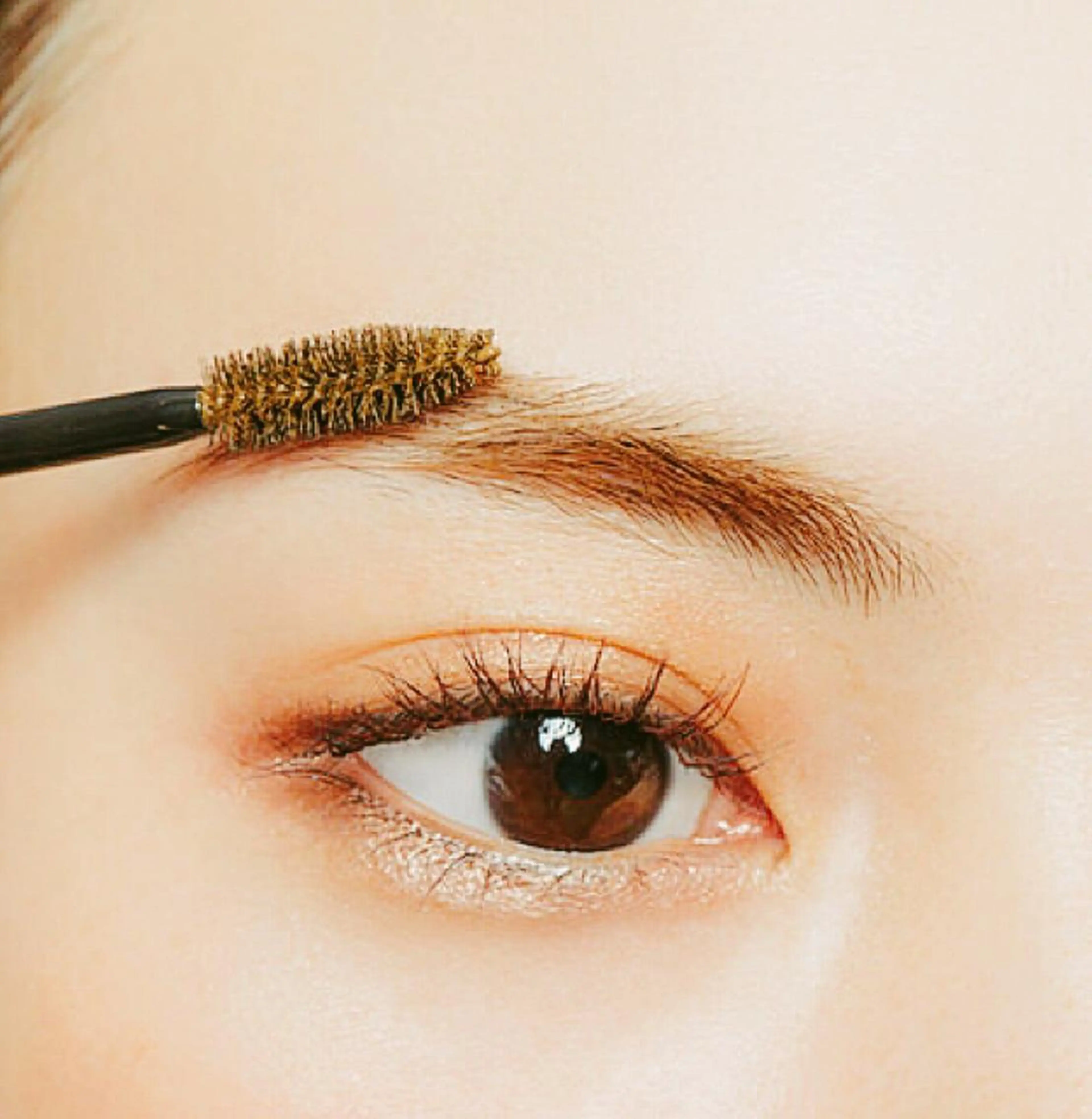 マツエク・マツパ メンズアイブロウ MAXIの眉毛・アイブロウイメージ