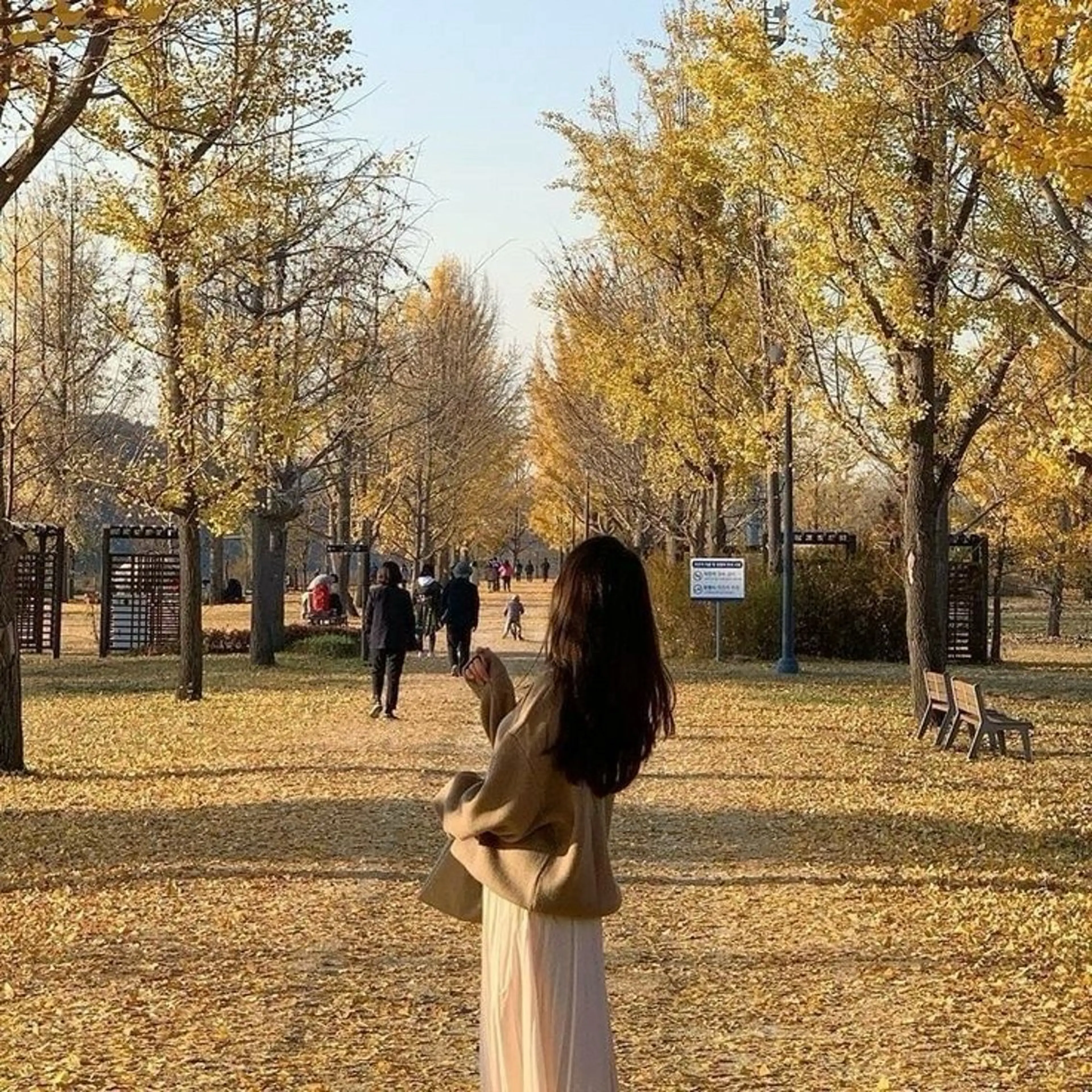 カラー 透け上品ハイトーン 職人ゆうと🤍のヘアスタイル