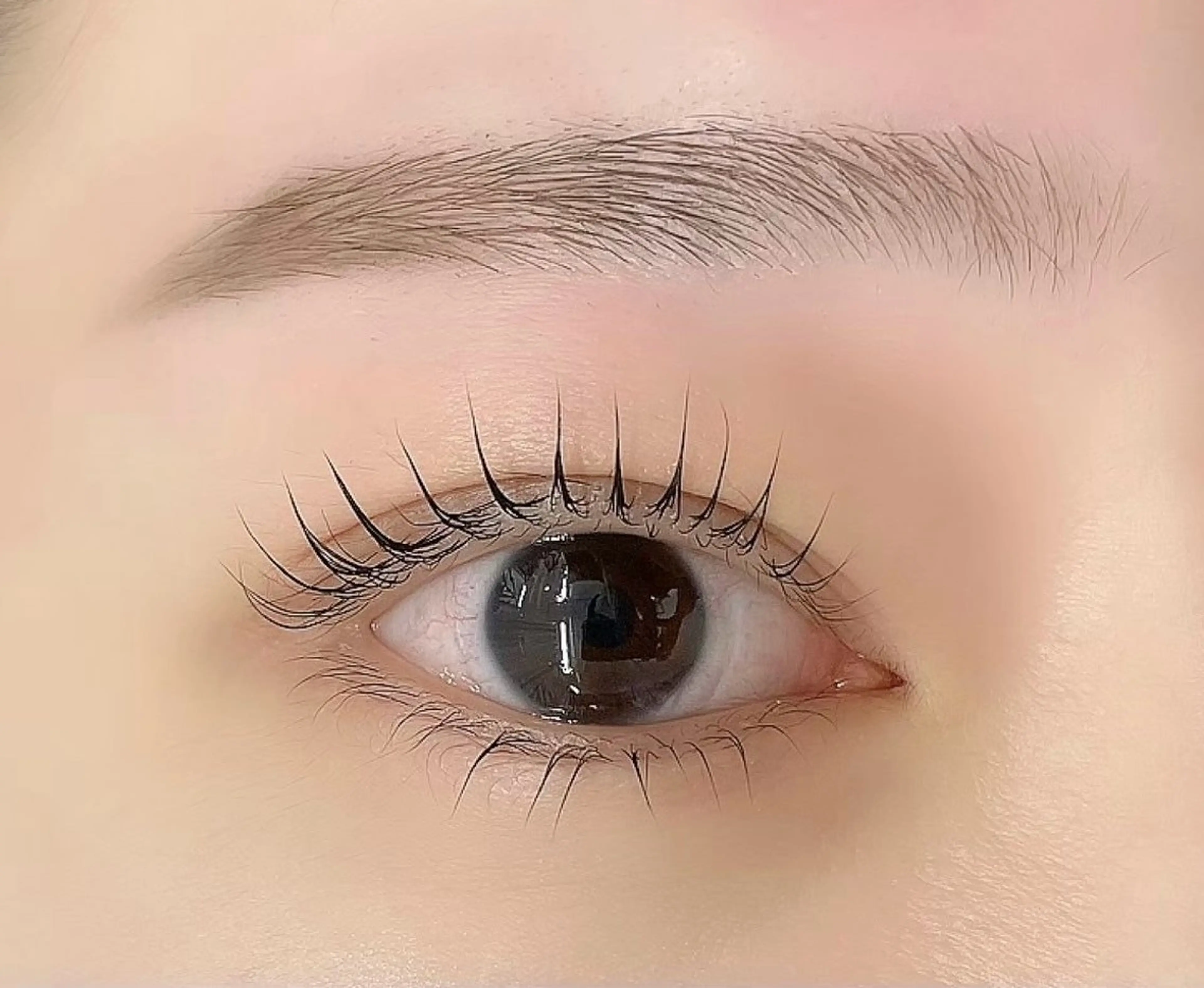 🍀ミニモ特別価格❣️パリジェンヌ＋美容液コーティング仕上げ🍀 【まつげパーマ/パリジェンヌ/浅草/蔵前】の写真