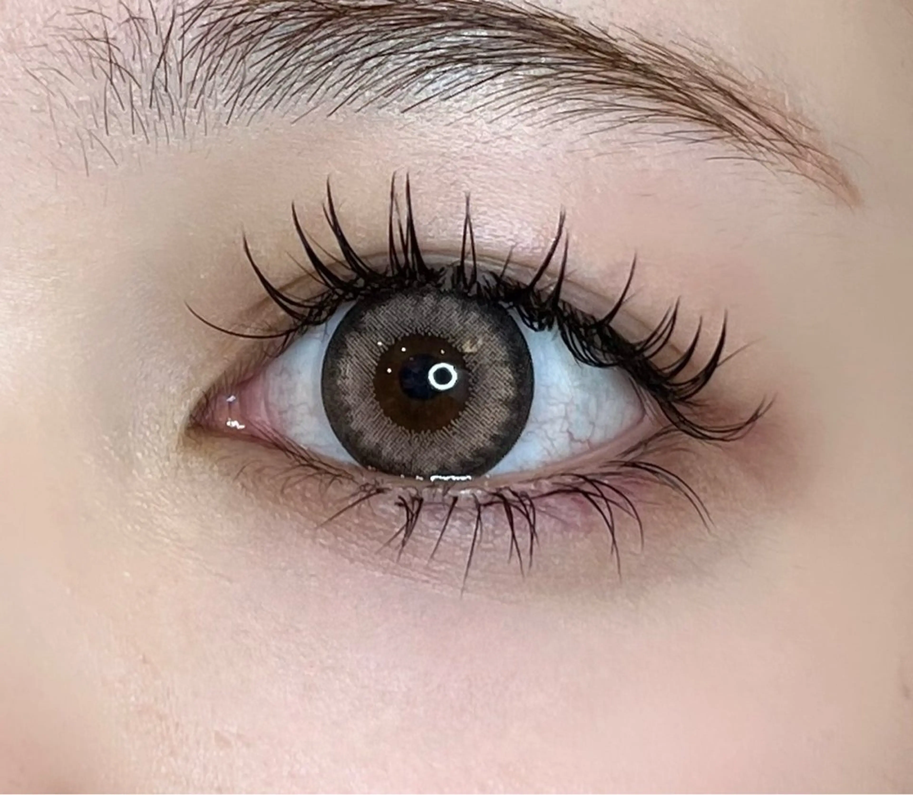 LEDマツエク120🌻¥10700→¥6500の写真