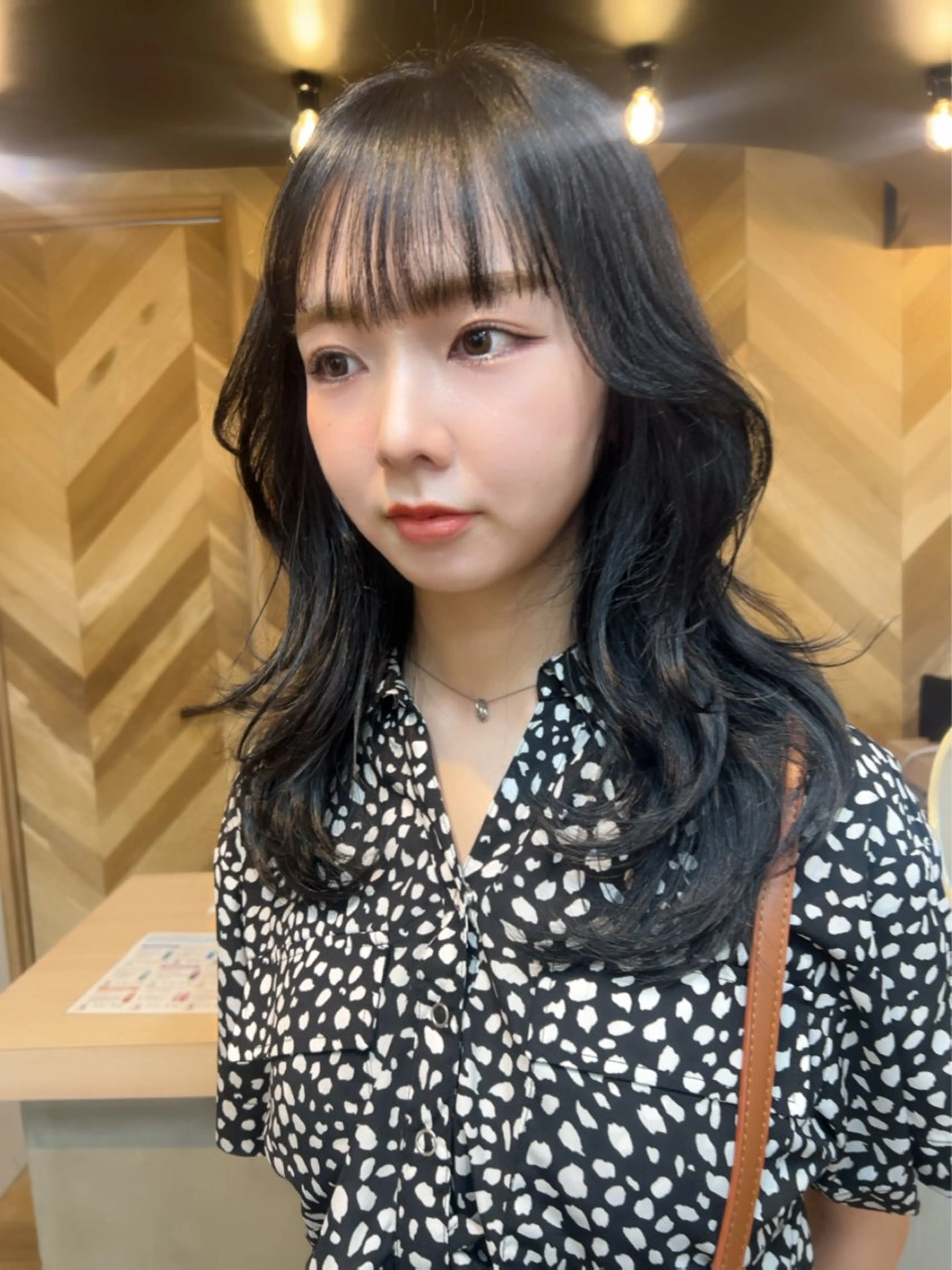 セミロング ハイレイヤー レイヤーカット カット ヘアカラー 🩶韓国/似合わせ/ さわ🩶のヘアスタイル