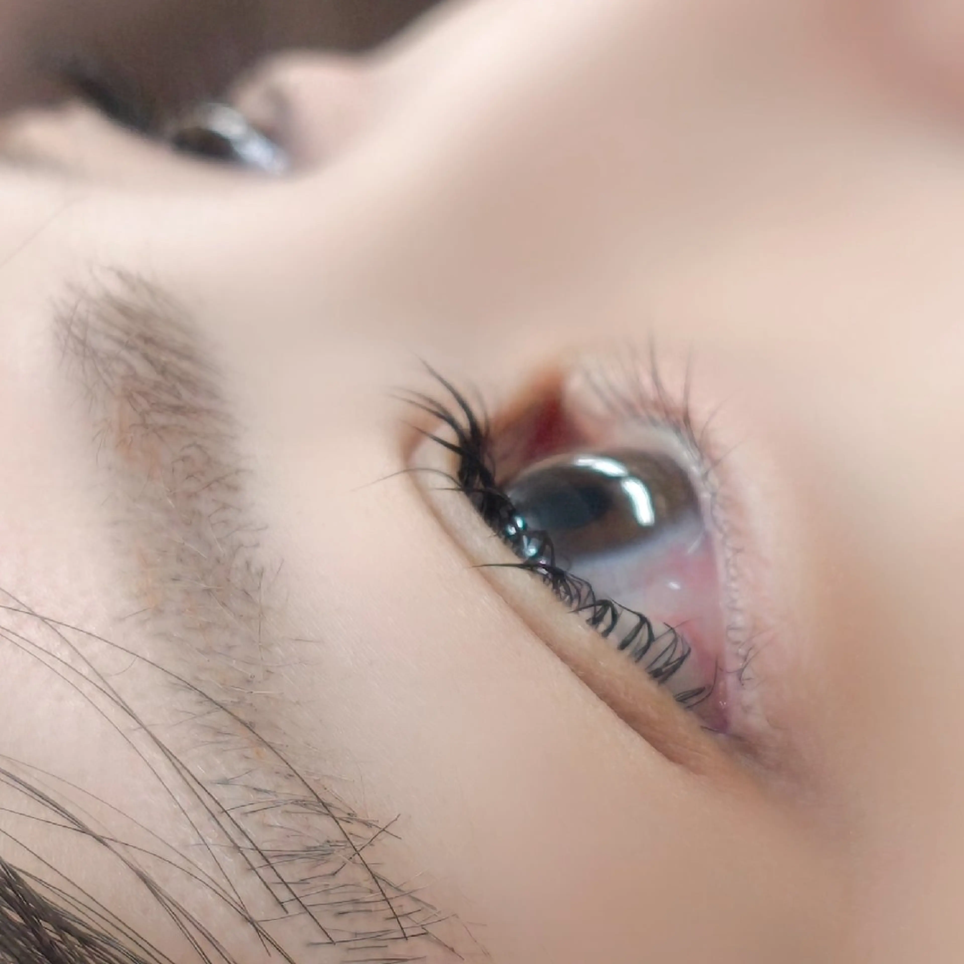 マツエク・マツパ パリジェンヌラッシュリフト 八子 ほのか/EYELA のマツエク・マツパデザイン