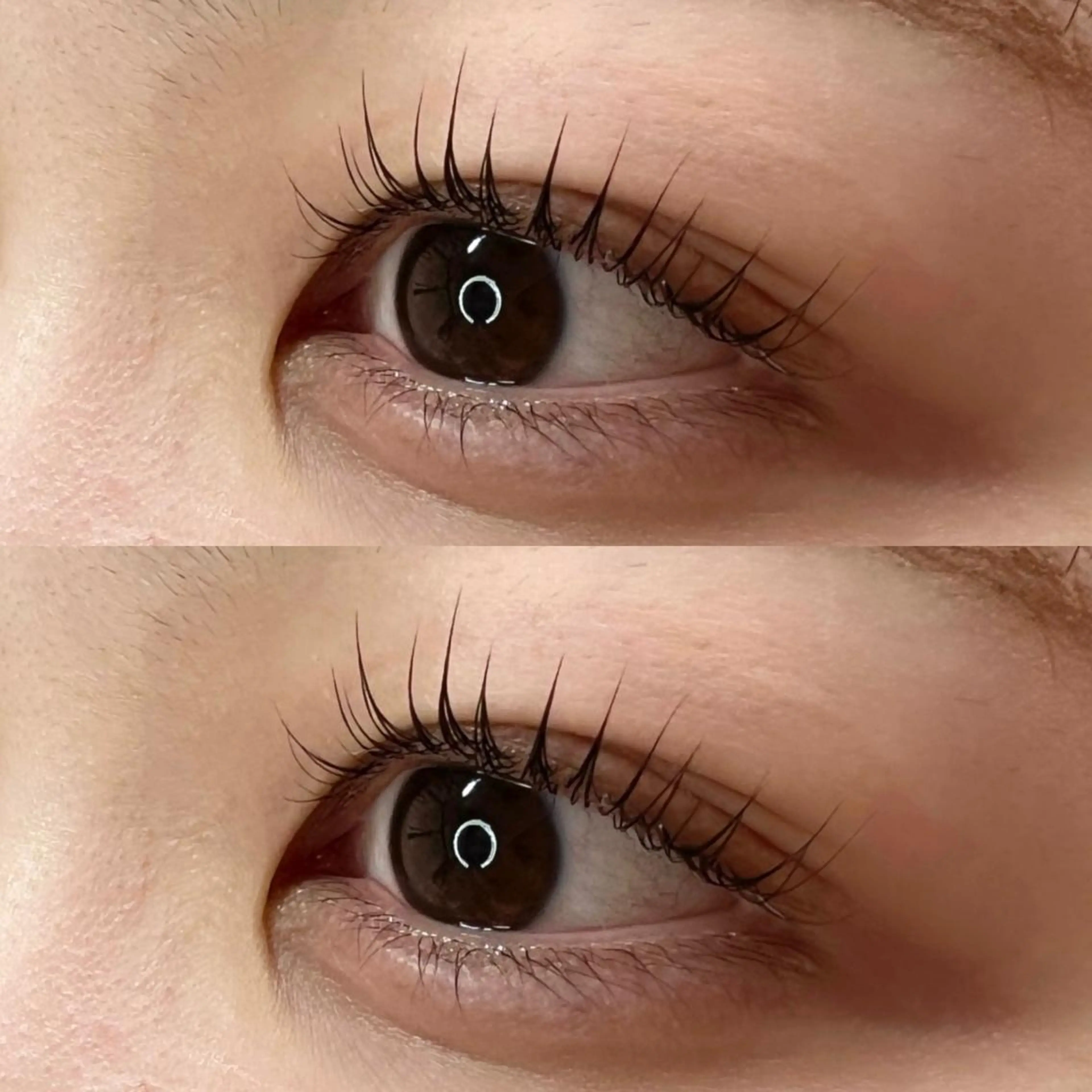 マツエク・マツパ Madonna Lilyのマツエク・マツパデザイン