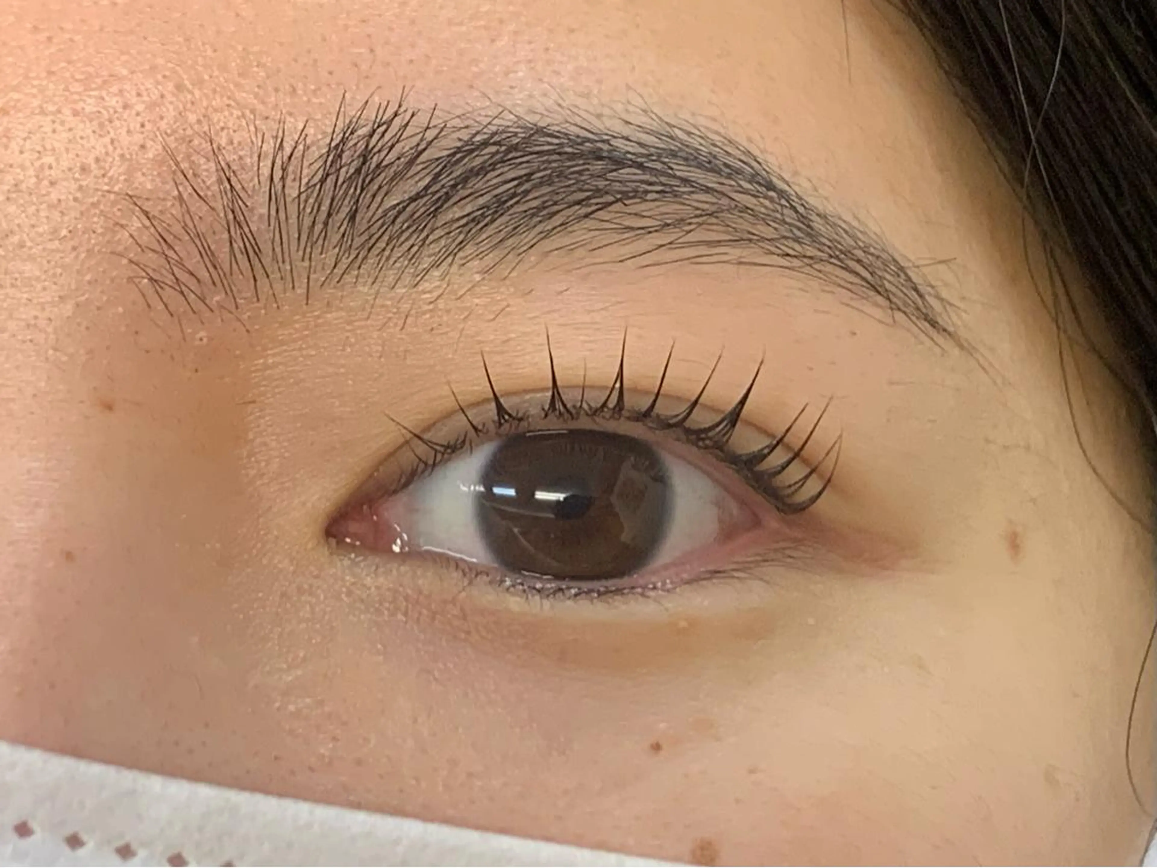 マツエク・マツパ Lil by Fan. 菊池のマツエク・マツパデザイン