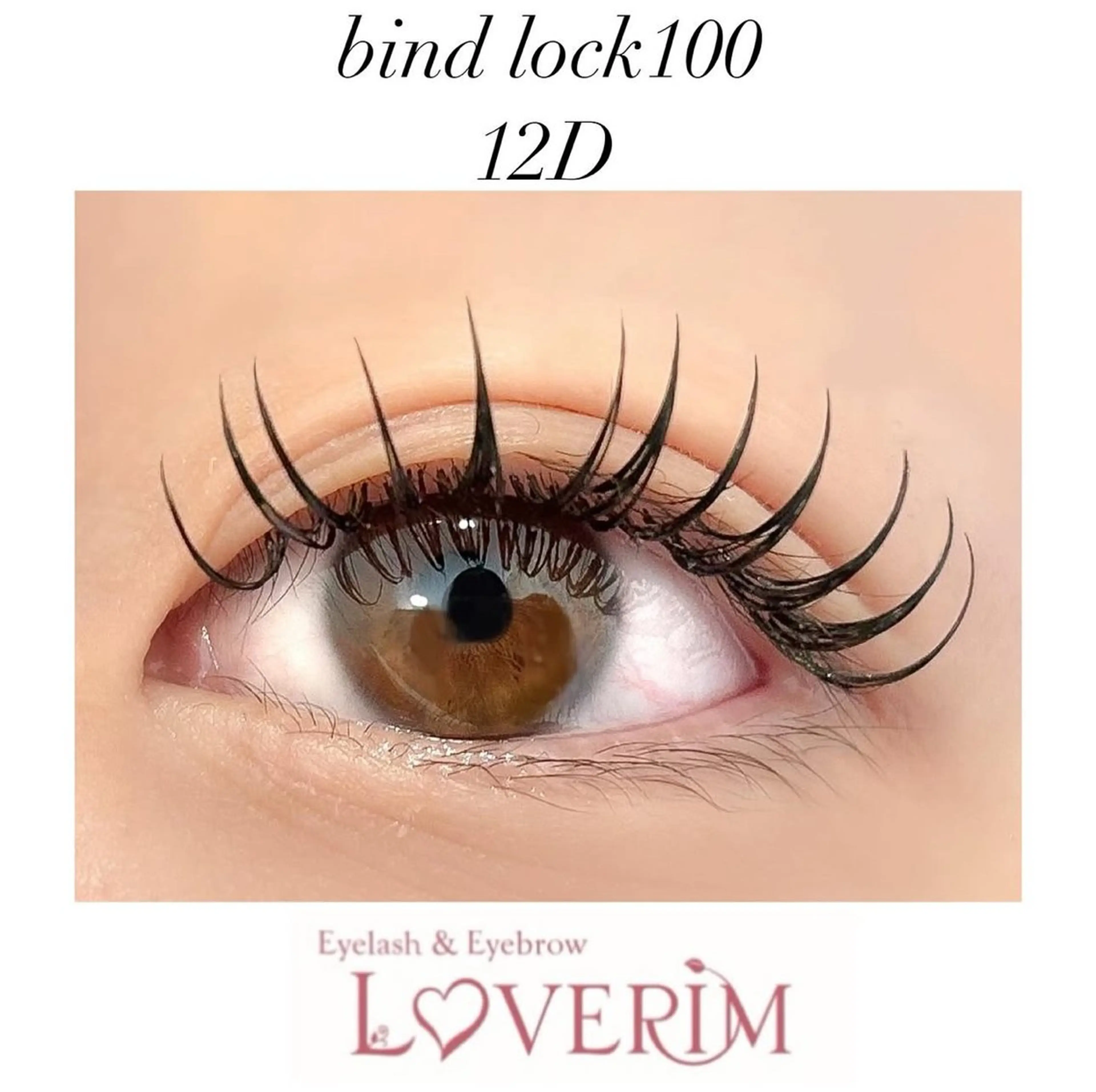 一日人数限定価格！！バインドロック100束（コーティング付き）の写真