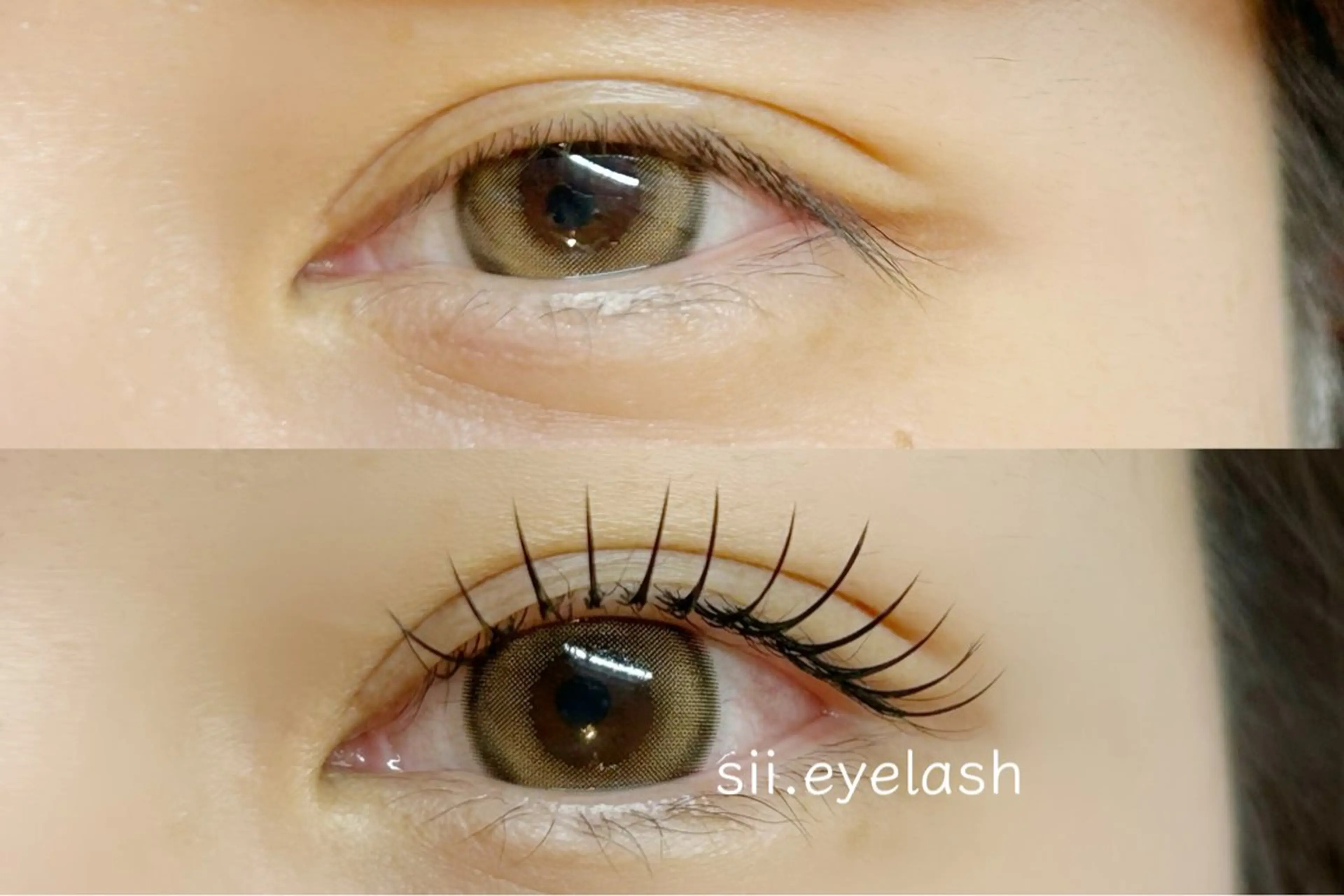 マツエク・マツパ まつげパーマ sii. eyelash/eyebrow所属・sii. くろだのマツエク・マツパデザイン