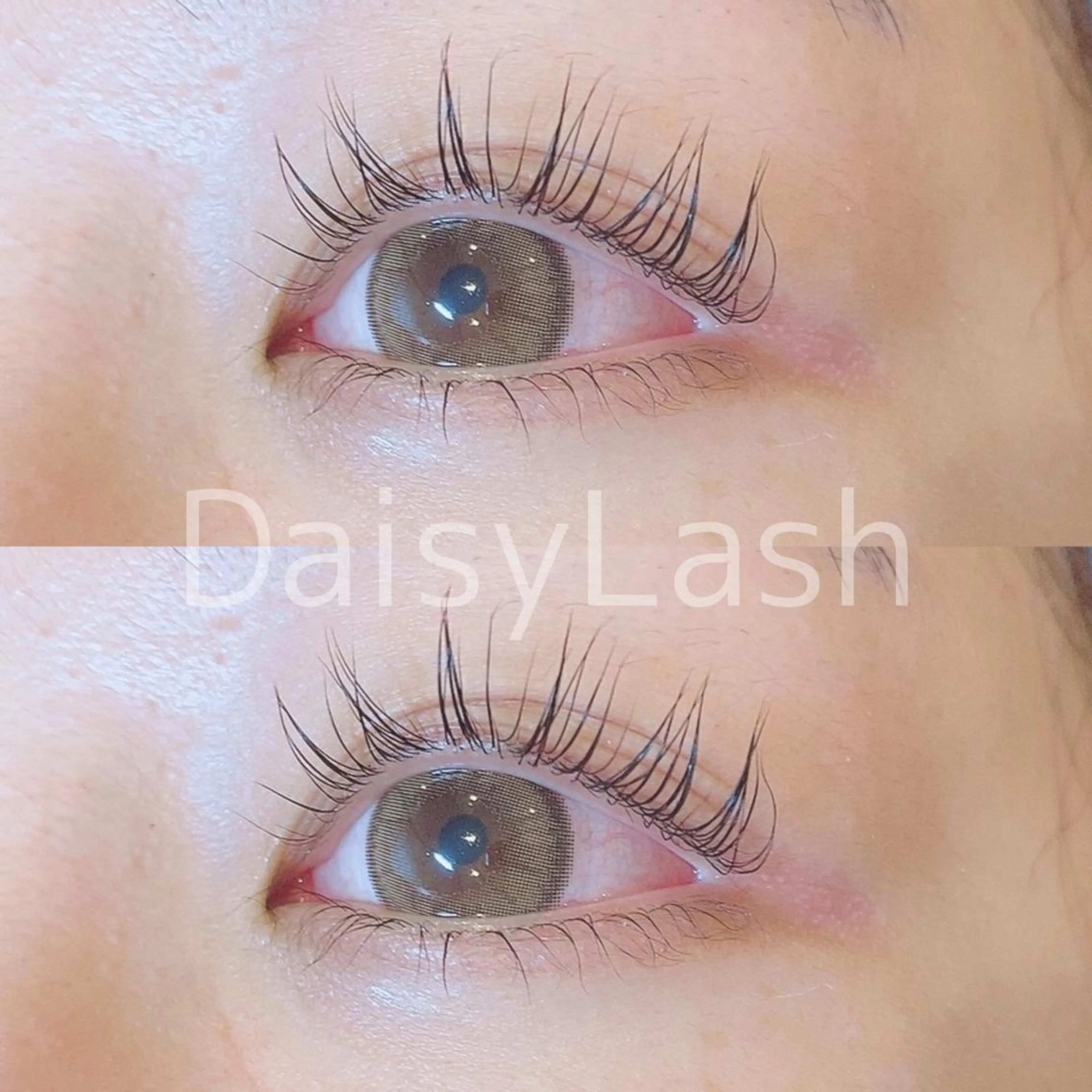 マツエク・マツパ DaisyLash 京橋店のマツエク・マツパデザイン