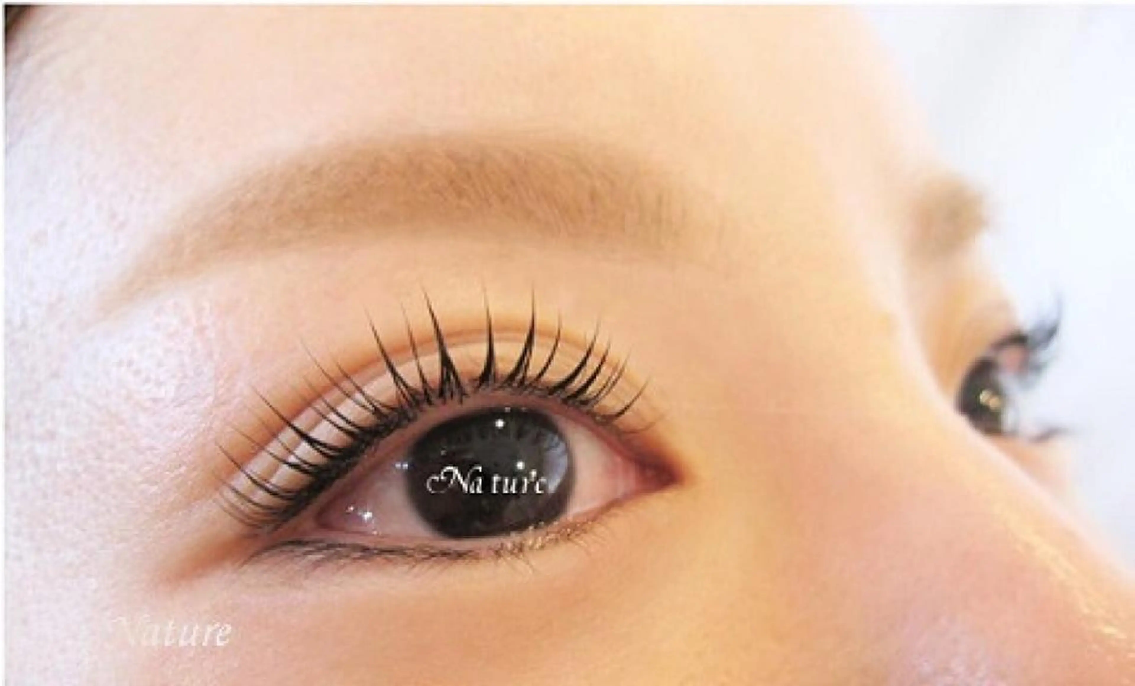 新パリジェンヌ2.0無料モデルの写真