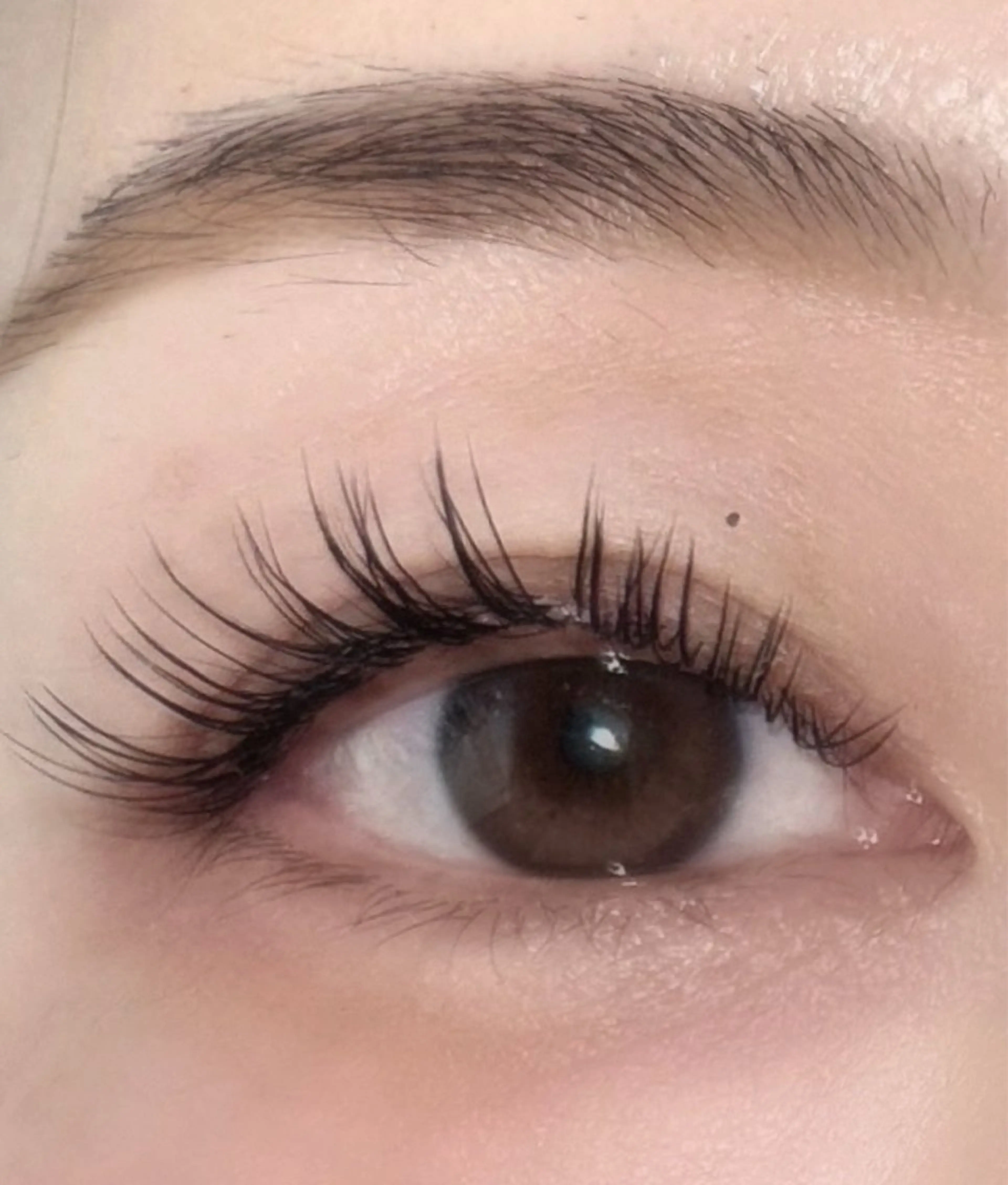 マツエク・マツパ lomlロムル所属・yoshi chikaのマツエク・マツパデザイン