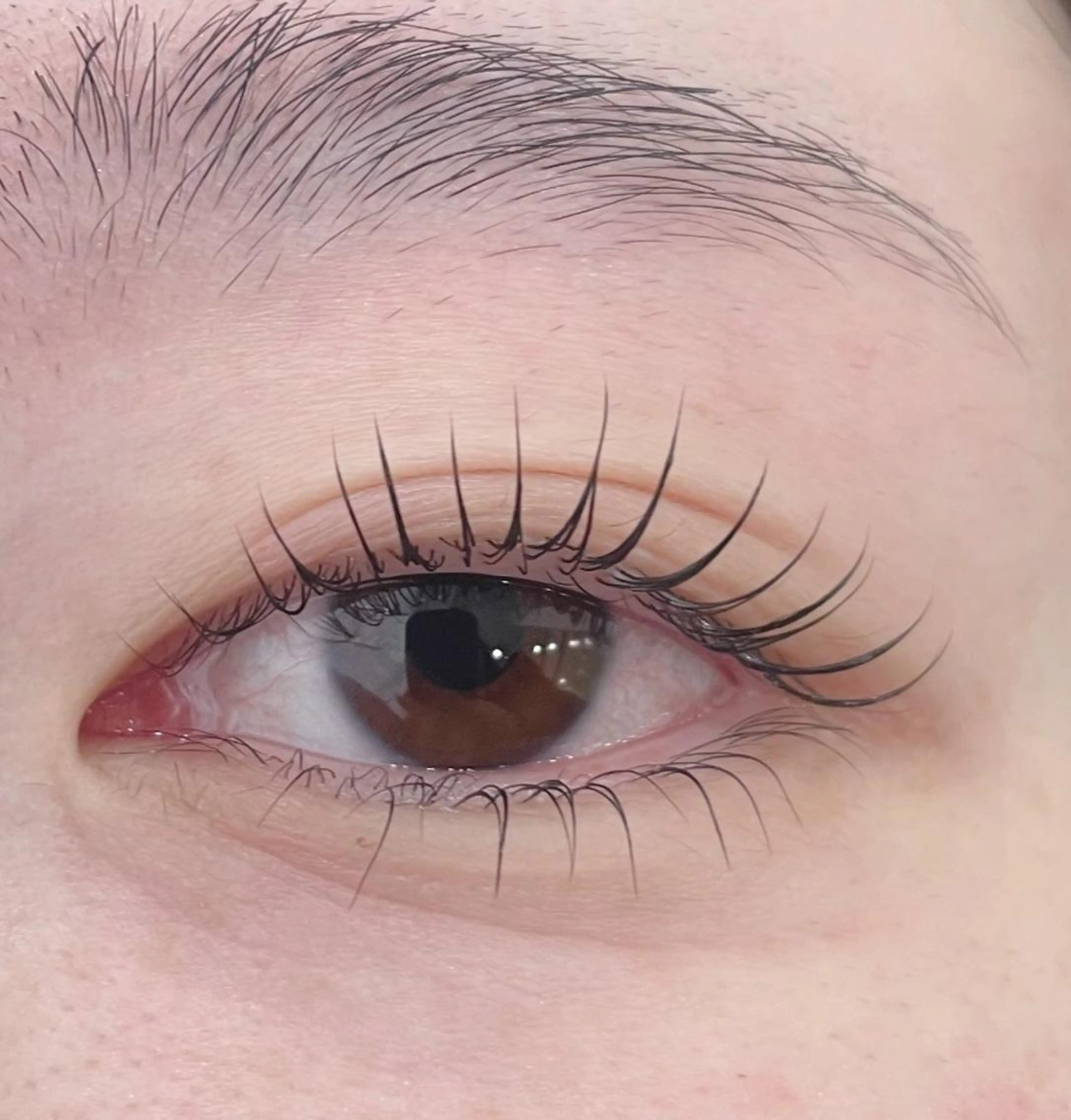 マツエク・マツパ 円谷 ツムラヤのマツエク・マツパデザイン