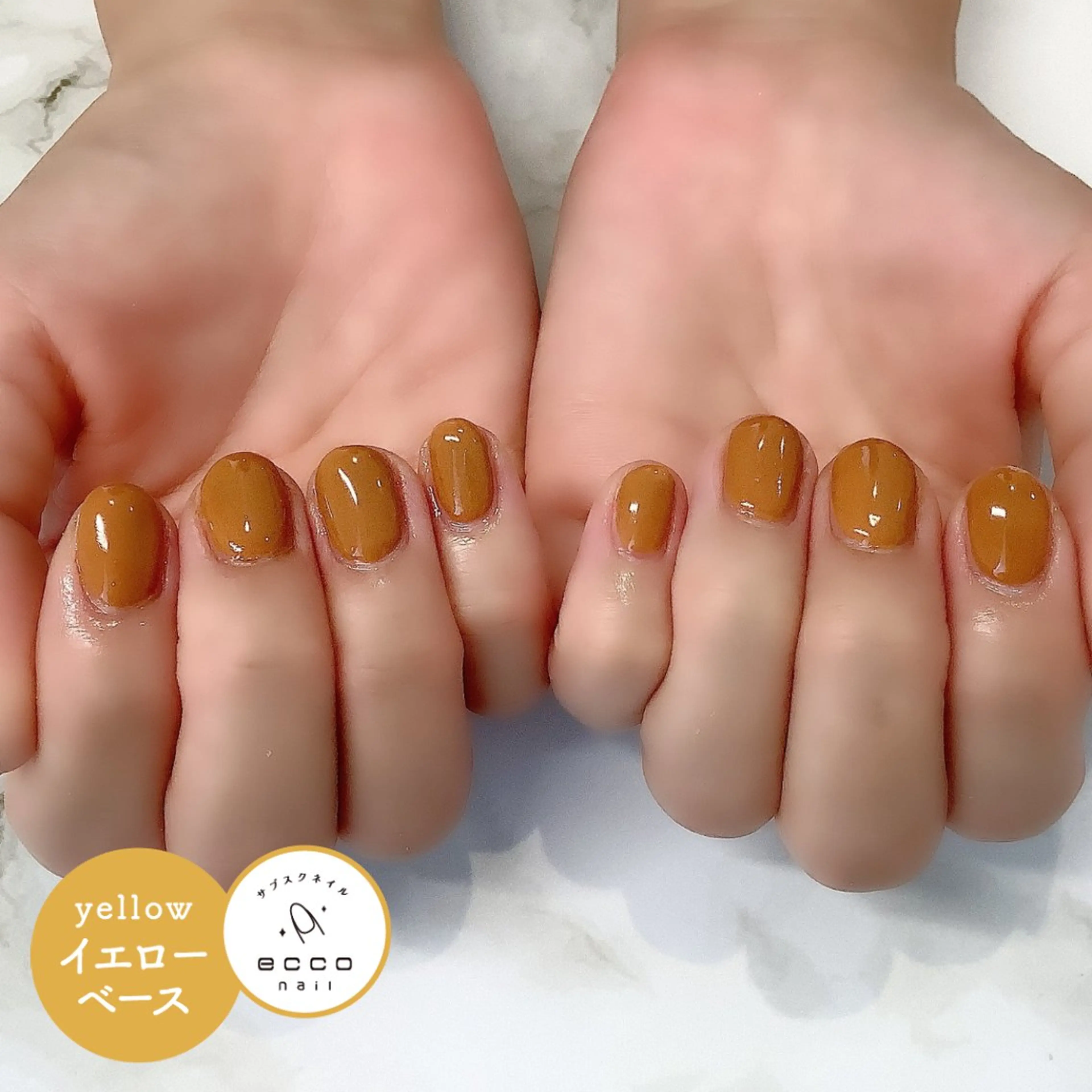 パーソナルカラー診断付きワンカラーの写真