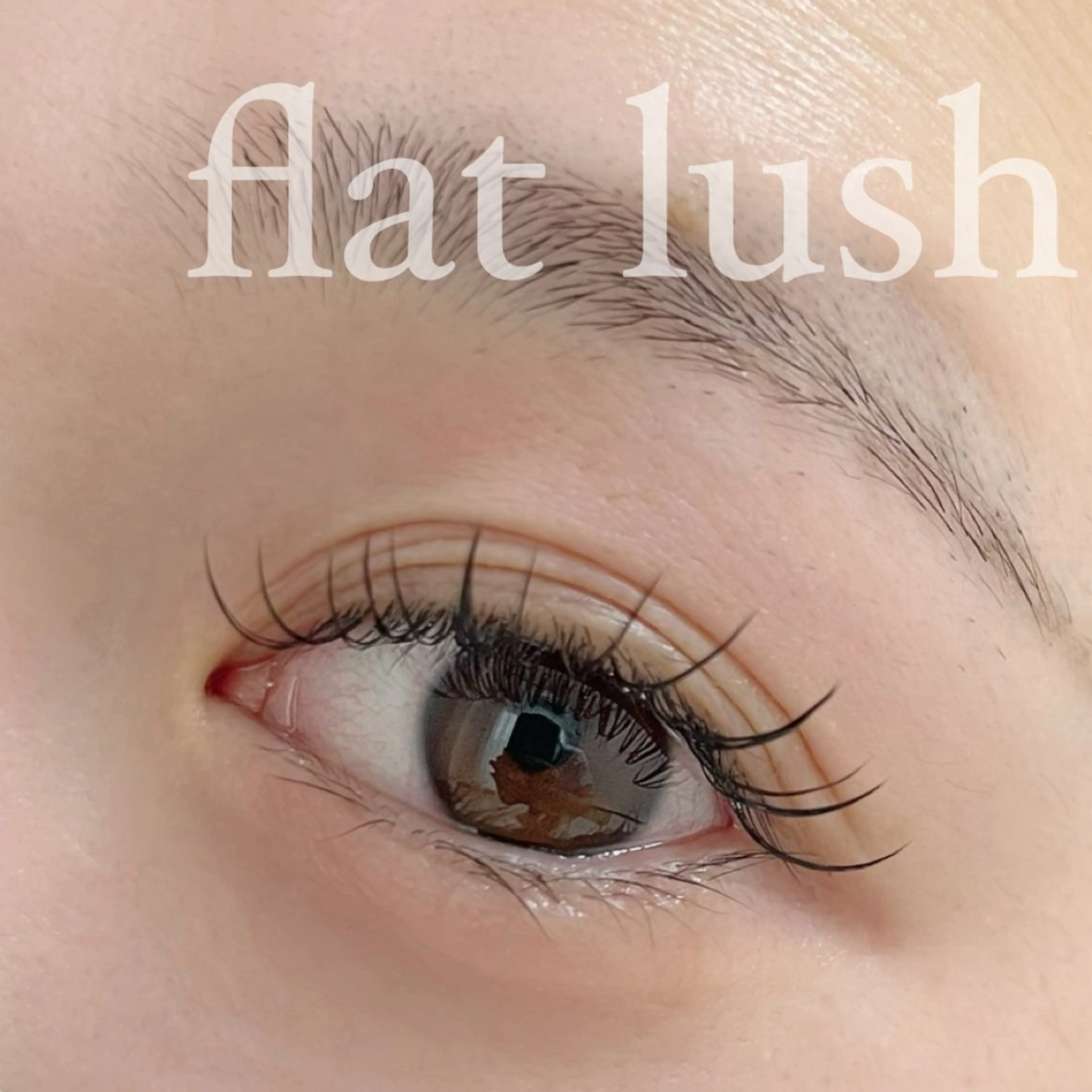 マツエク・マツパ マツエク Moana所属・eyelash Moanaの眉毛・アイブロウイメージ