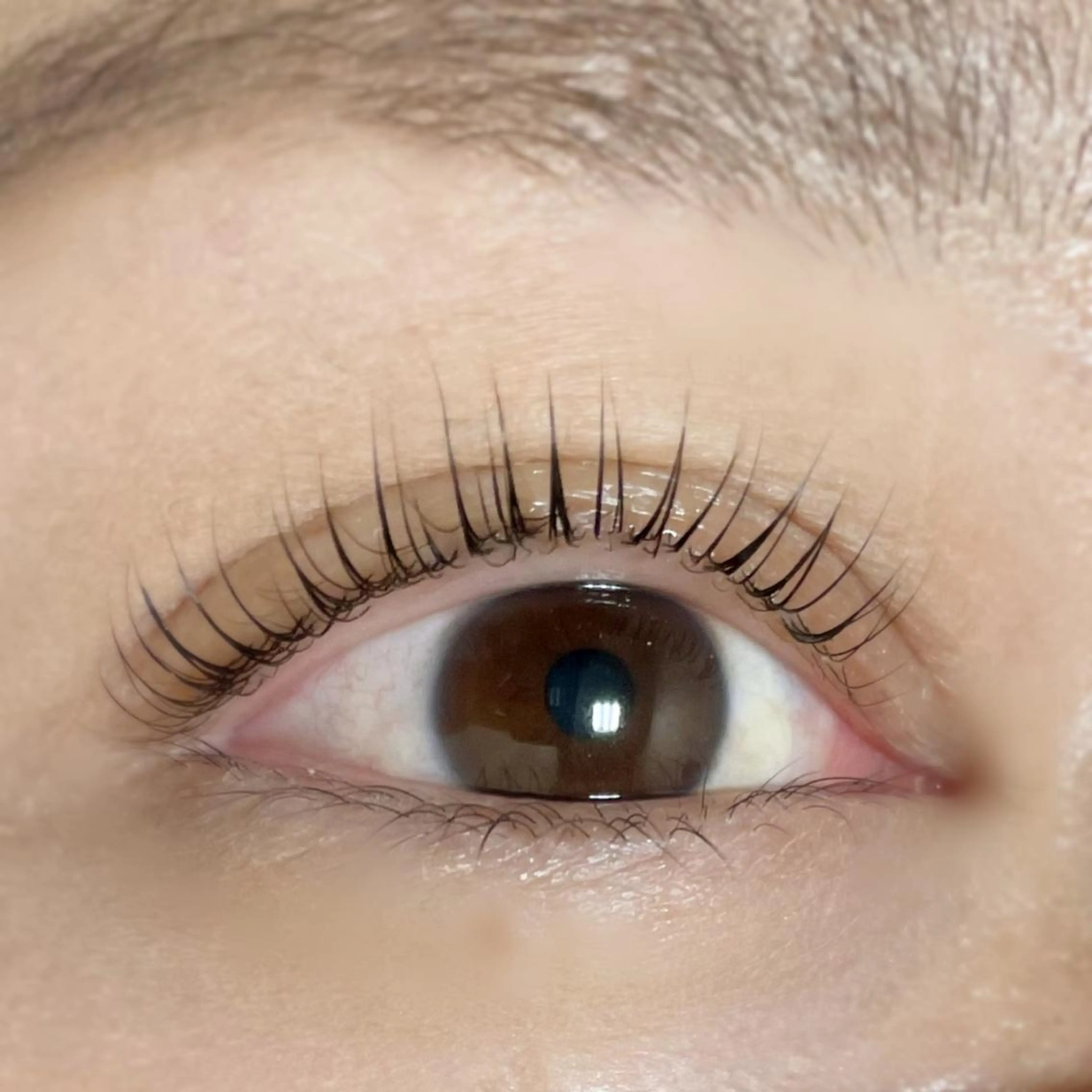 マツエク・マツパ パリジェンヌラッシュリフト MAQUIA 心斎橋店　川口のマツエク・マツパデザイン