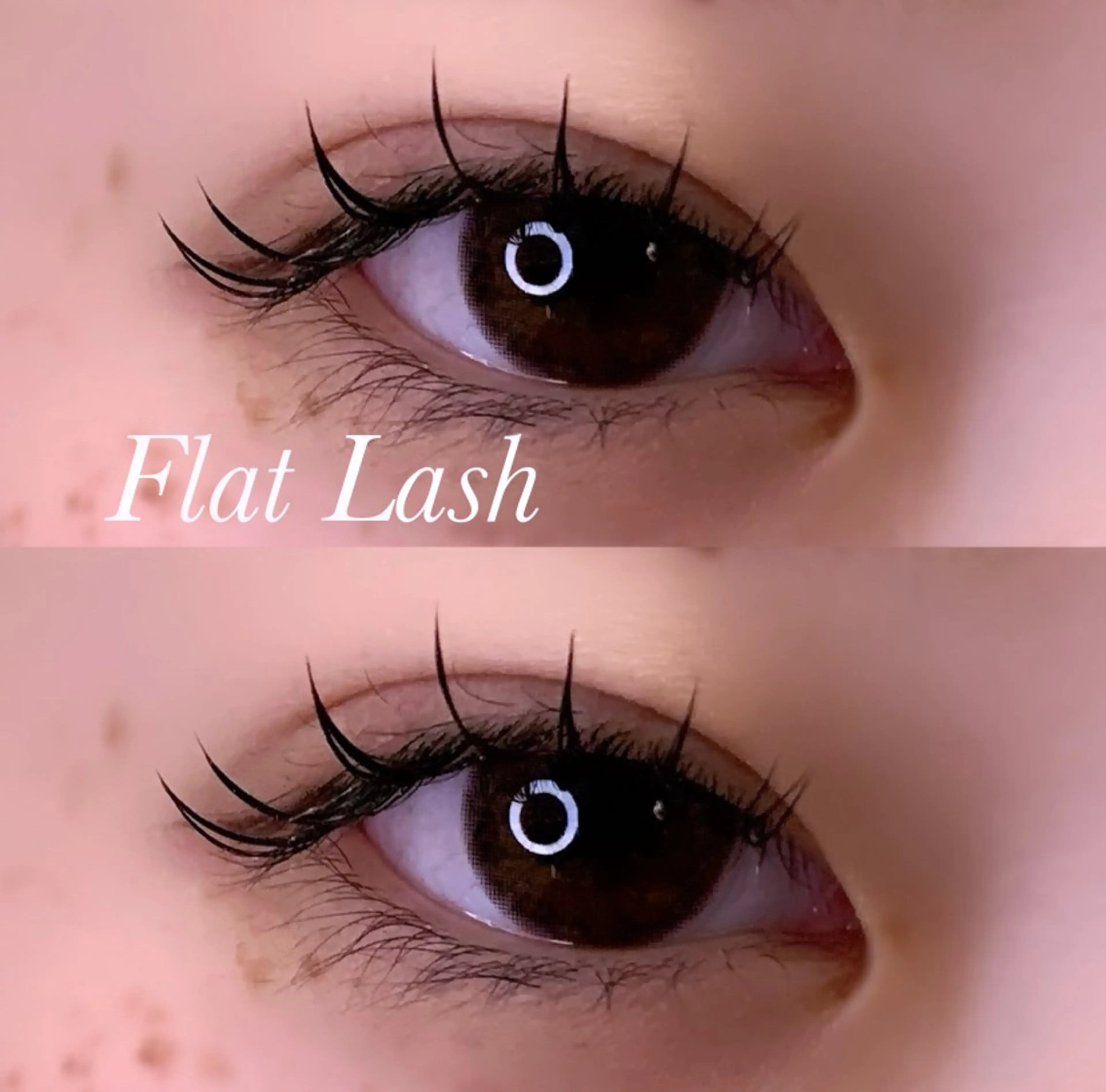 マツエク・マツパ Cカール フラットラッシュ マツエク Ayumi.pro 🍆N《4階》のマツエク・マツパデザイン