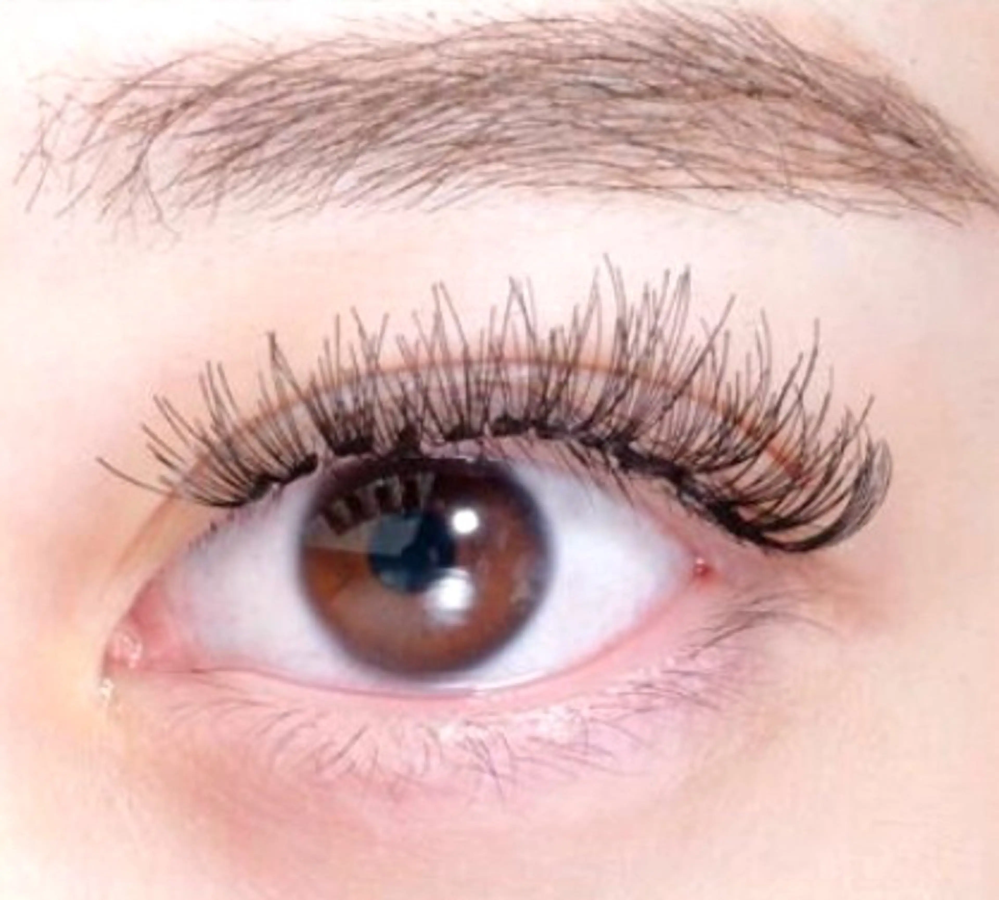 【オフあり】束エクステ🪄施術時間60分前後の写真