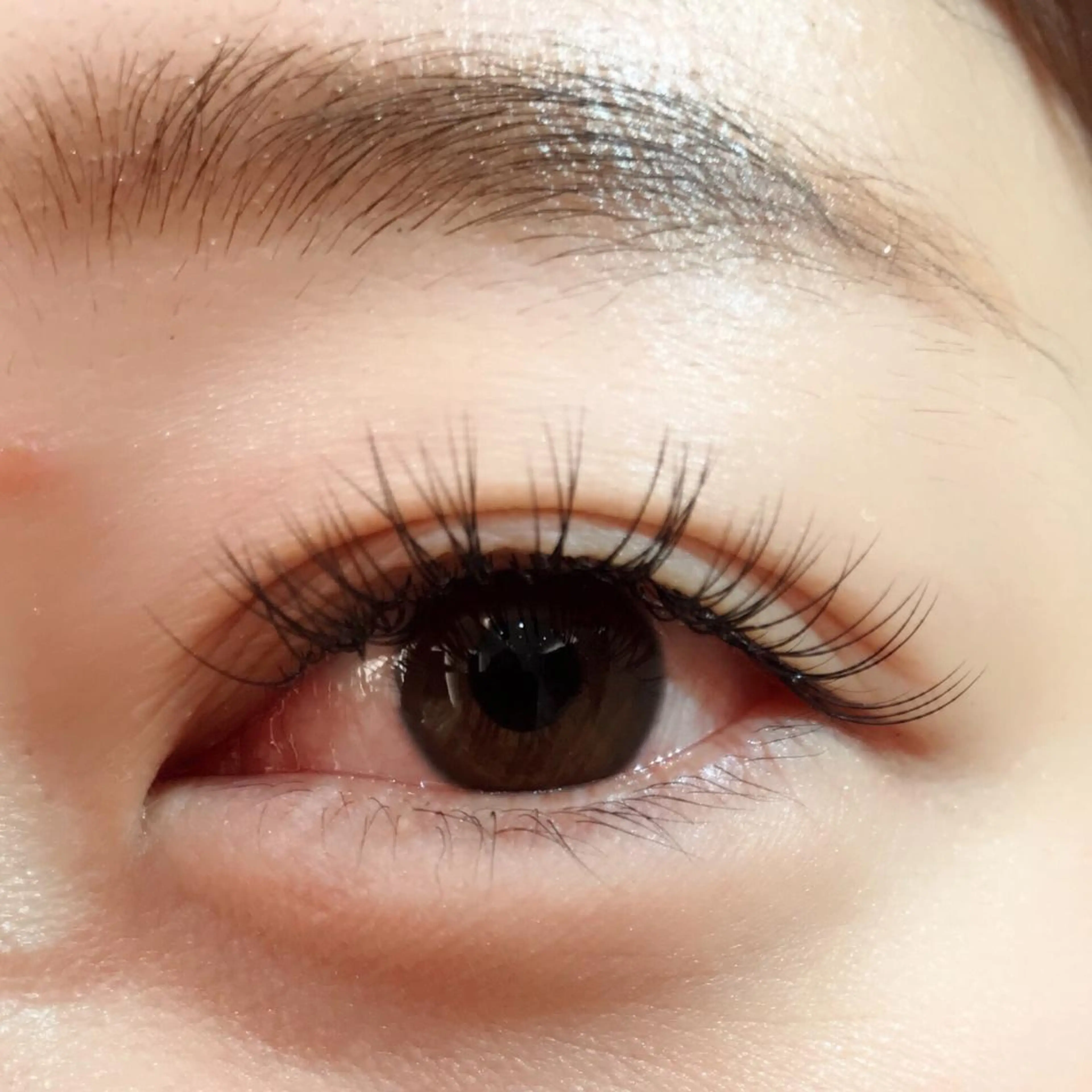 【minimo再来限定】Sランク高級セーブルマツ毛エクステ60​〜​80本👁の写真