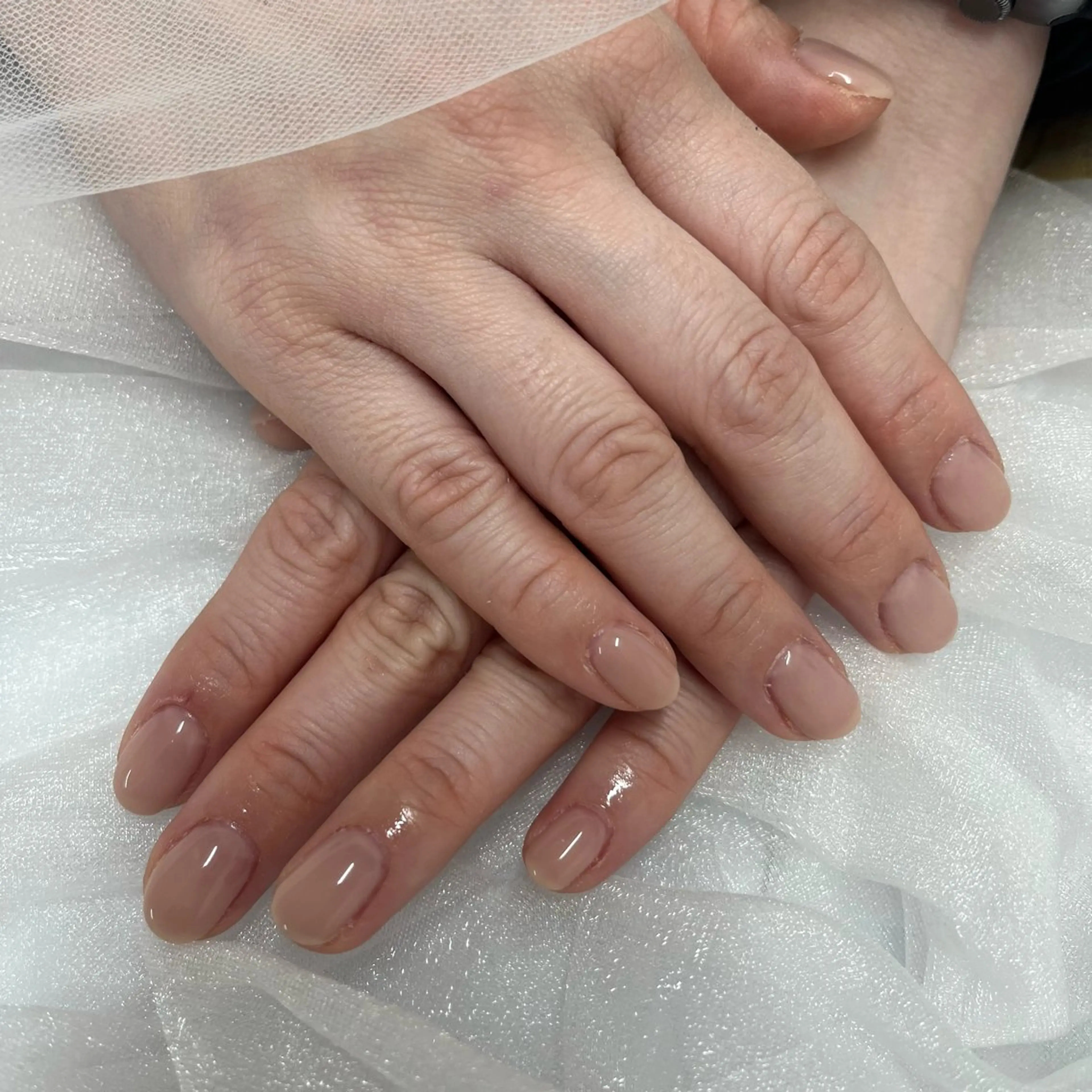 新規の方/1ヶ月以内ご来店のリピーター様オフ無料 ⊱ワンカラー/ラメグラ/マグネット⊰ハンド💅🏼 ⁺₊の写真