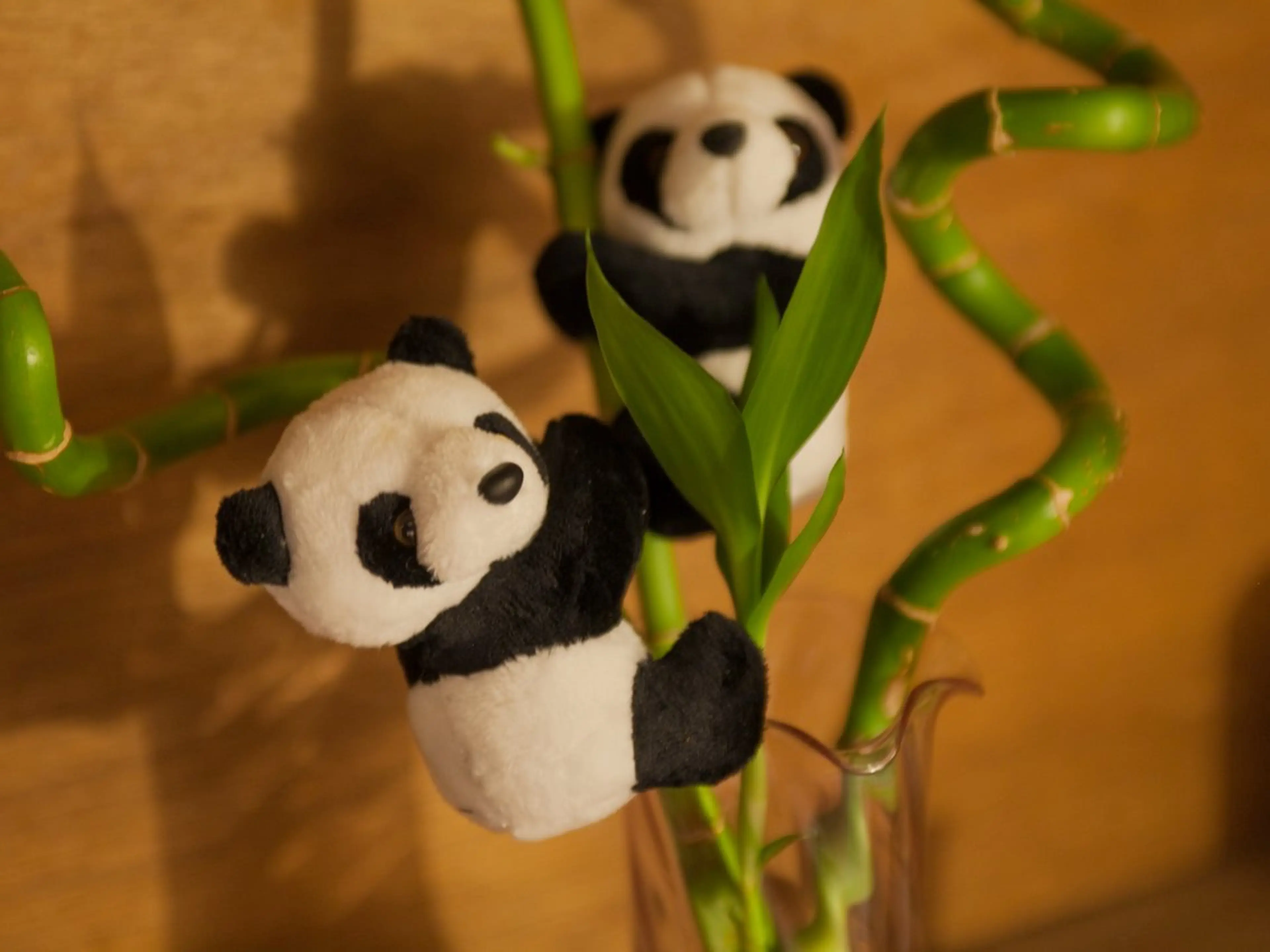 Sunny 直樹のエステ・リラクイメージ