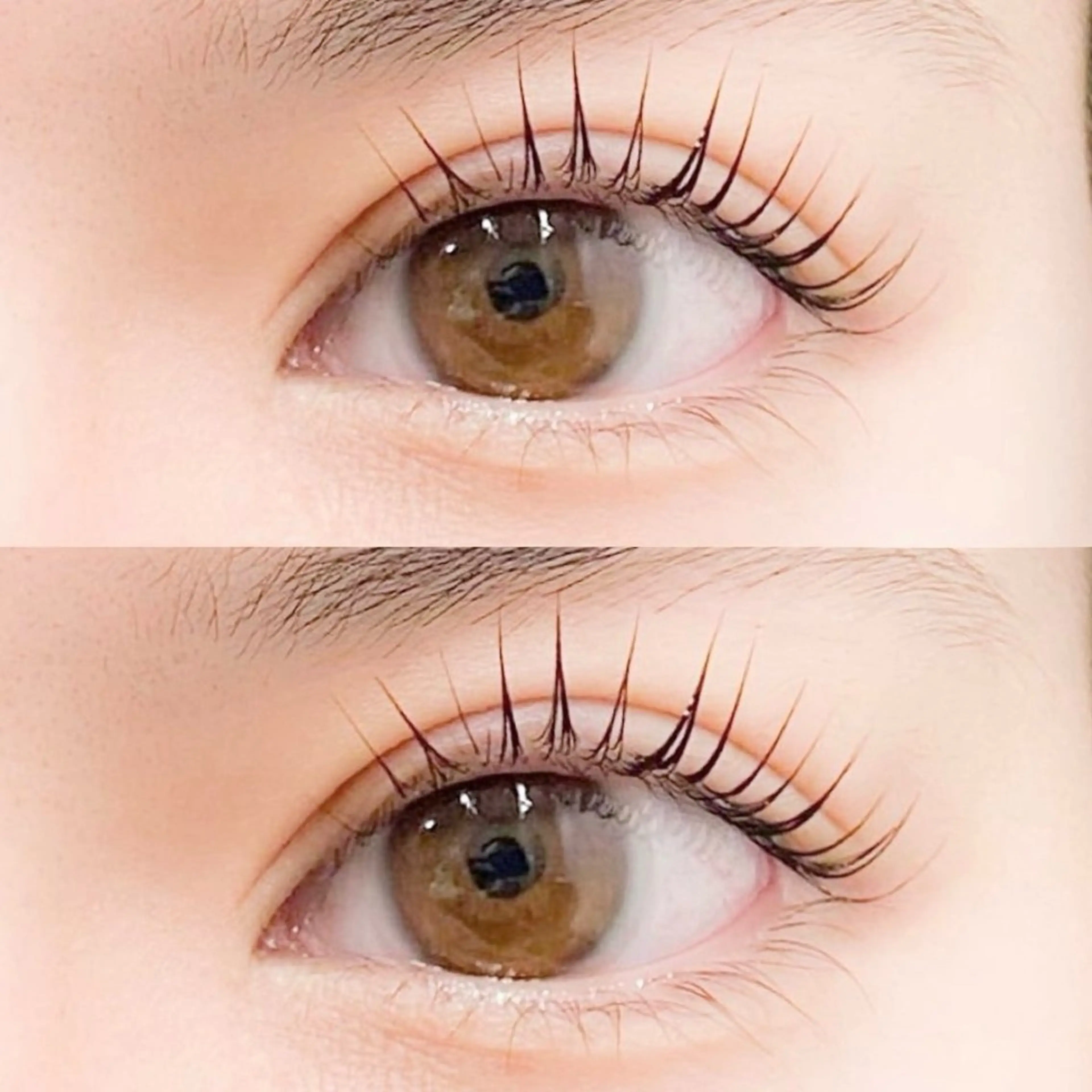 まつ毛パーマ《上》練習モデル🌟パリジェンヌ/韓国束感/メーテルetc...デザイン選べます♡)の写真