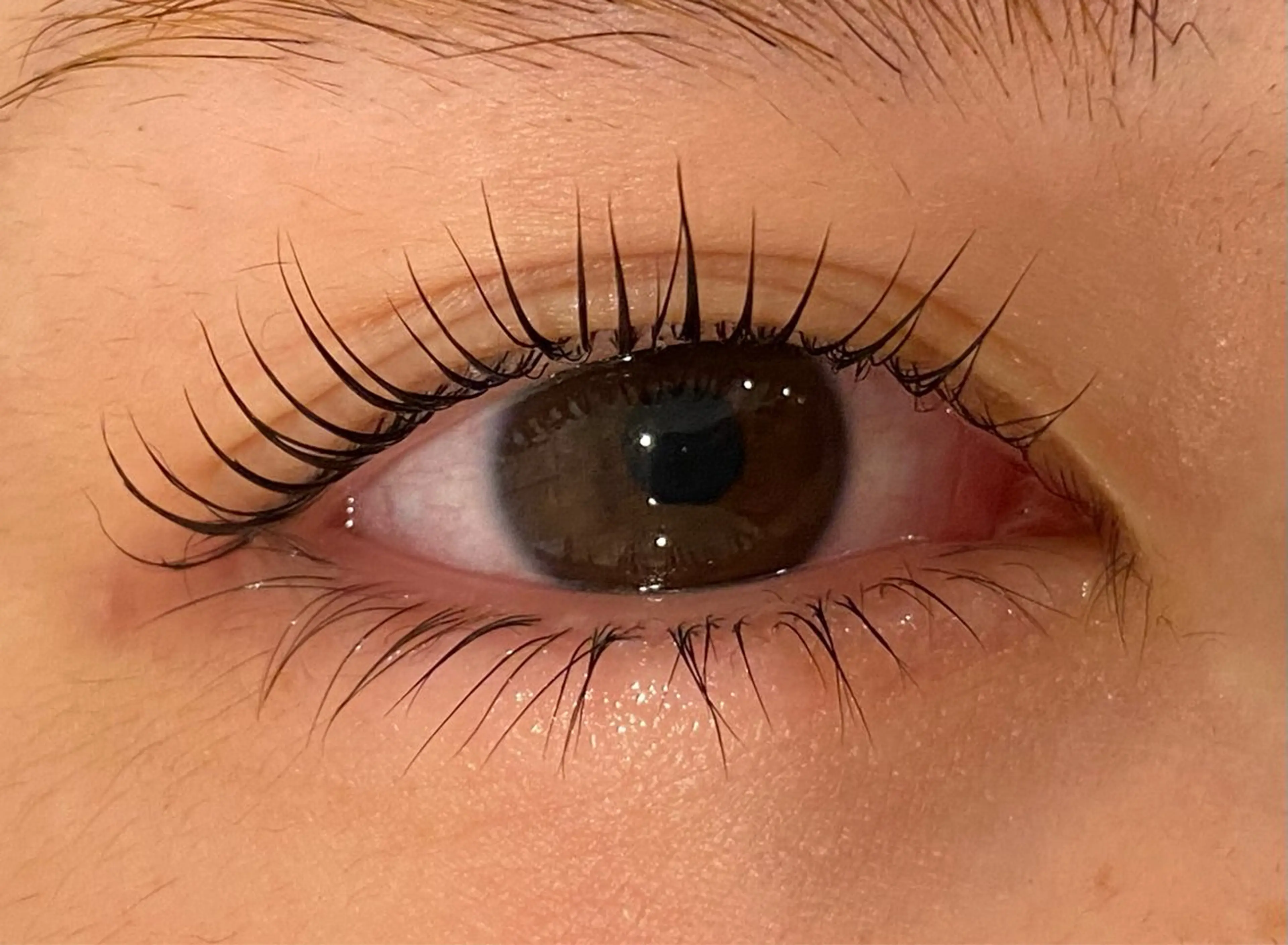 マツエク・マツパ Daisy lash 京橋店堀井のマツエク・マツパデザイン