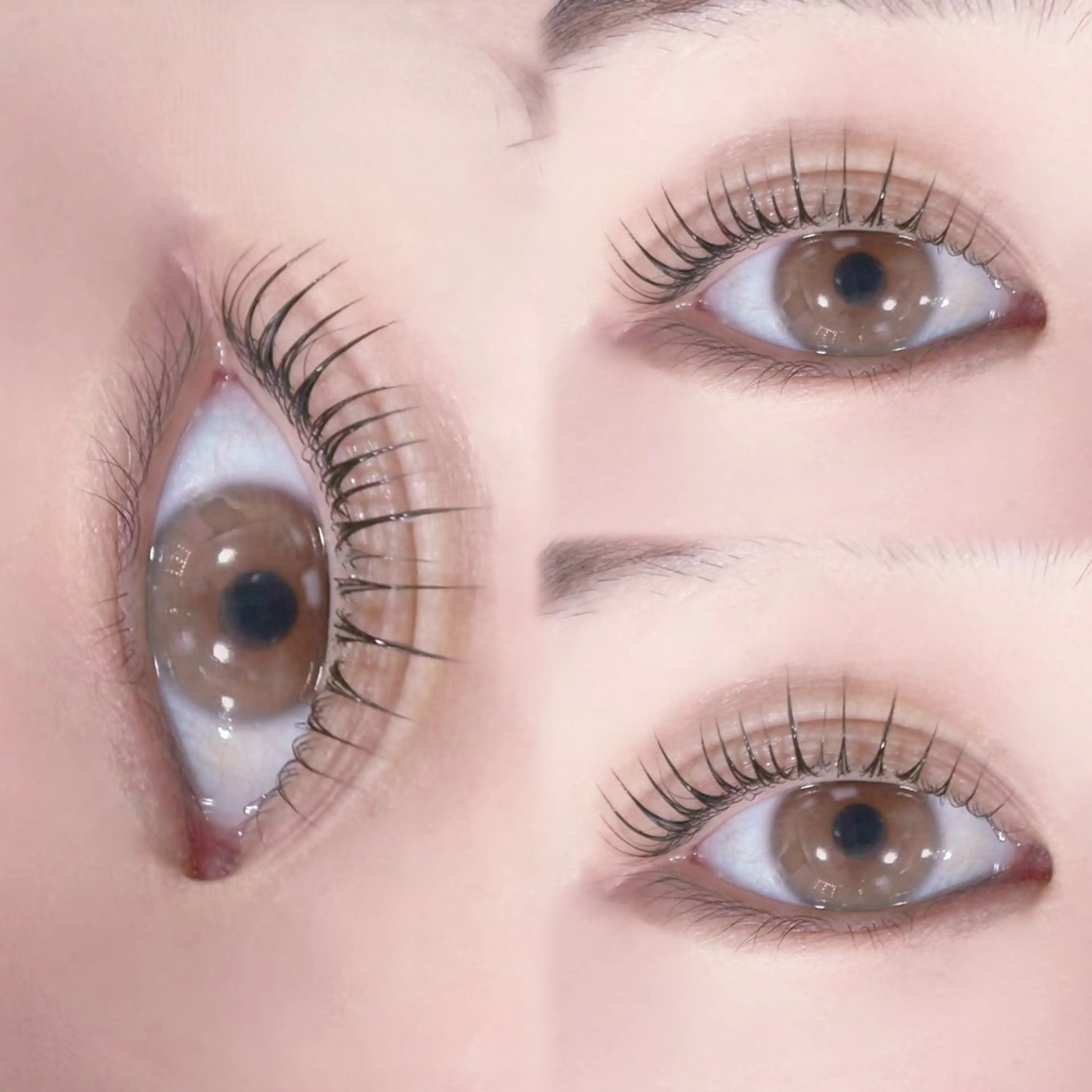 マツエク・マツパ マツパ マリーテレジア ogataの眉毛・アイブロウイメージ