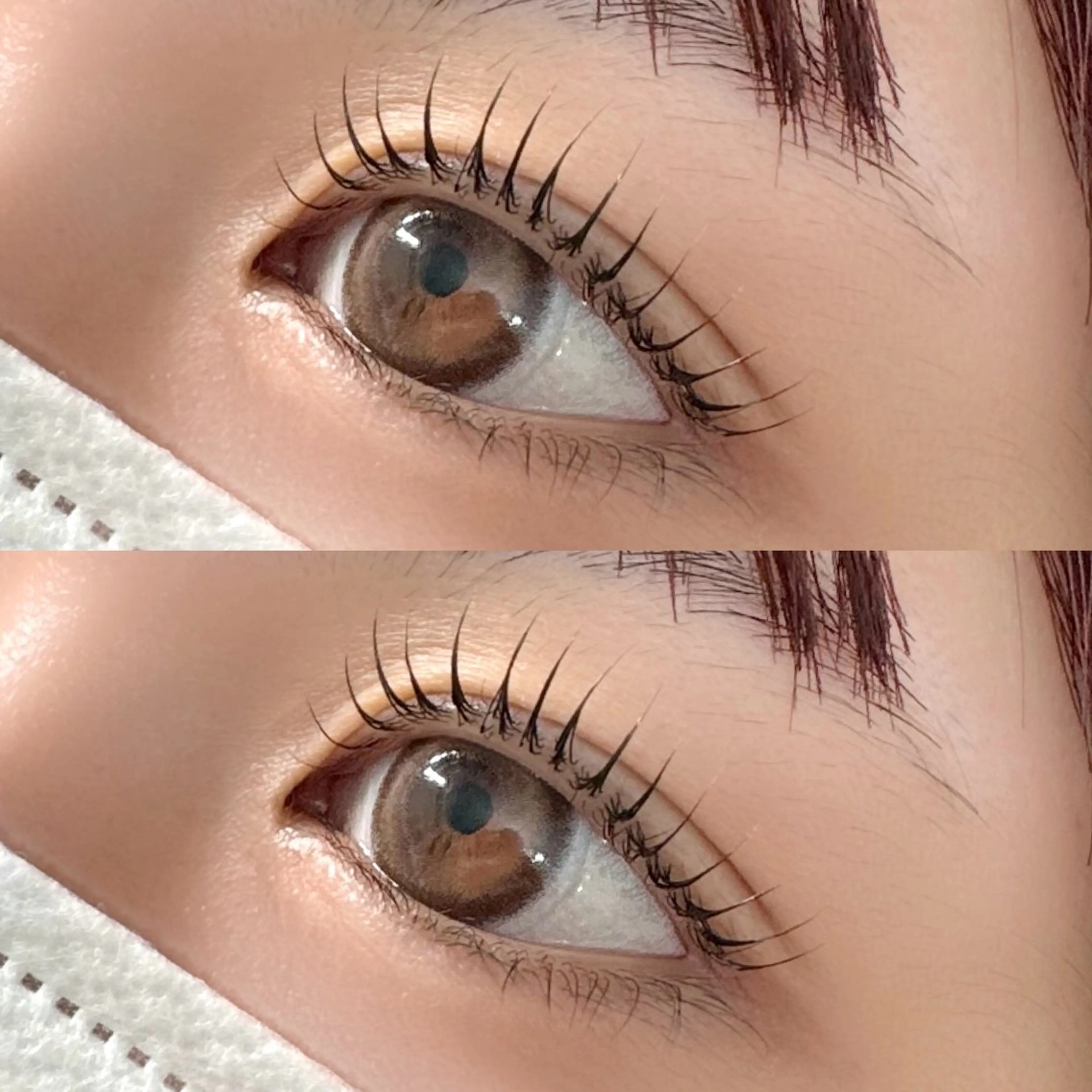 上下2STEPケラチントリートメント付ラッシュリフトorパリジェンヌラッシュリフト🍊の写真