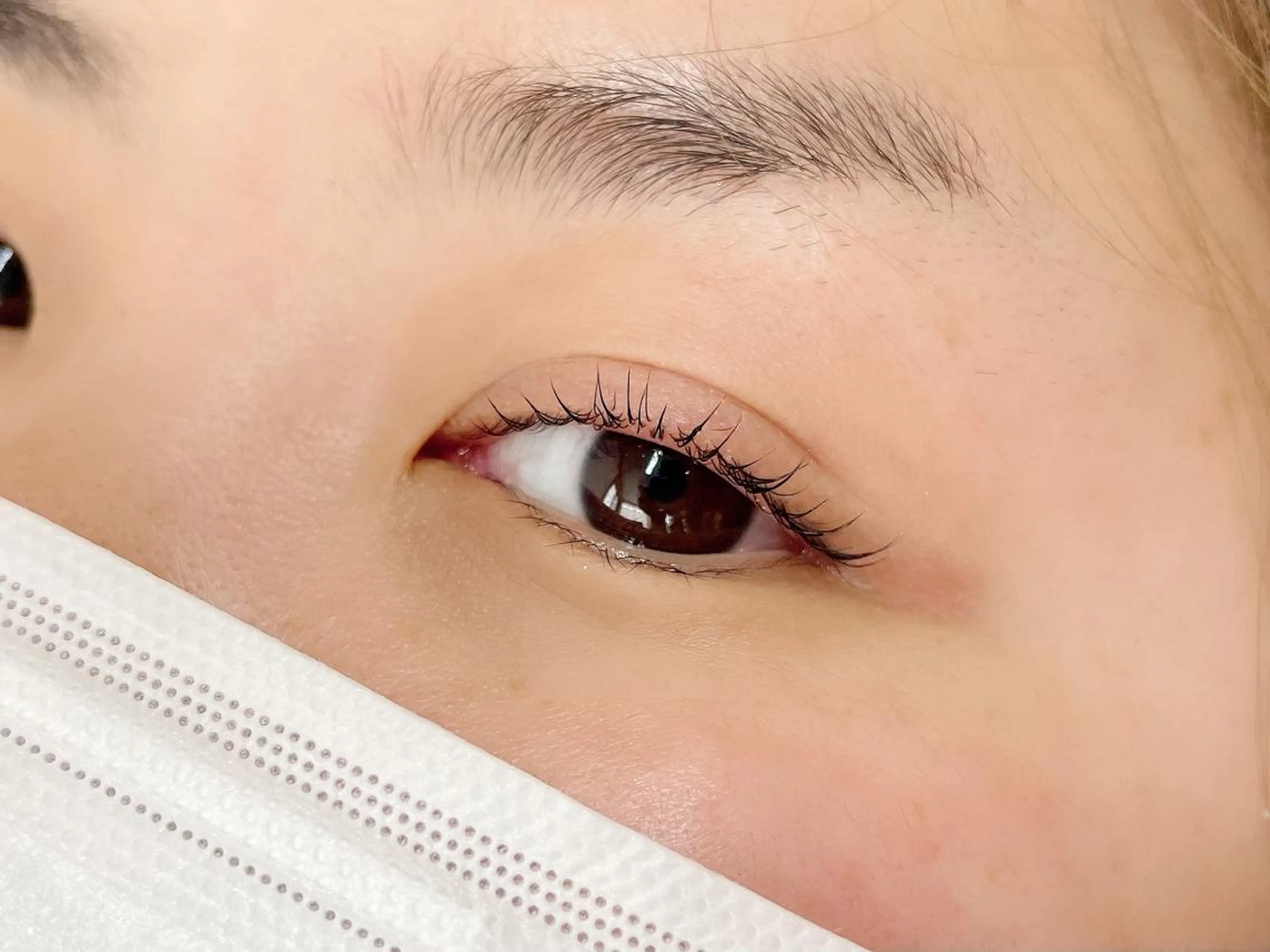 マツエク・マツパ Loy la long所属・Loylalong ロイラロンの眉毛・アイブロウイメージ