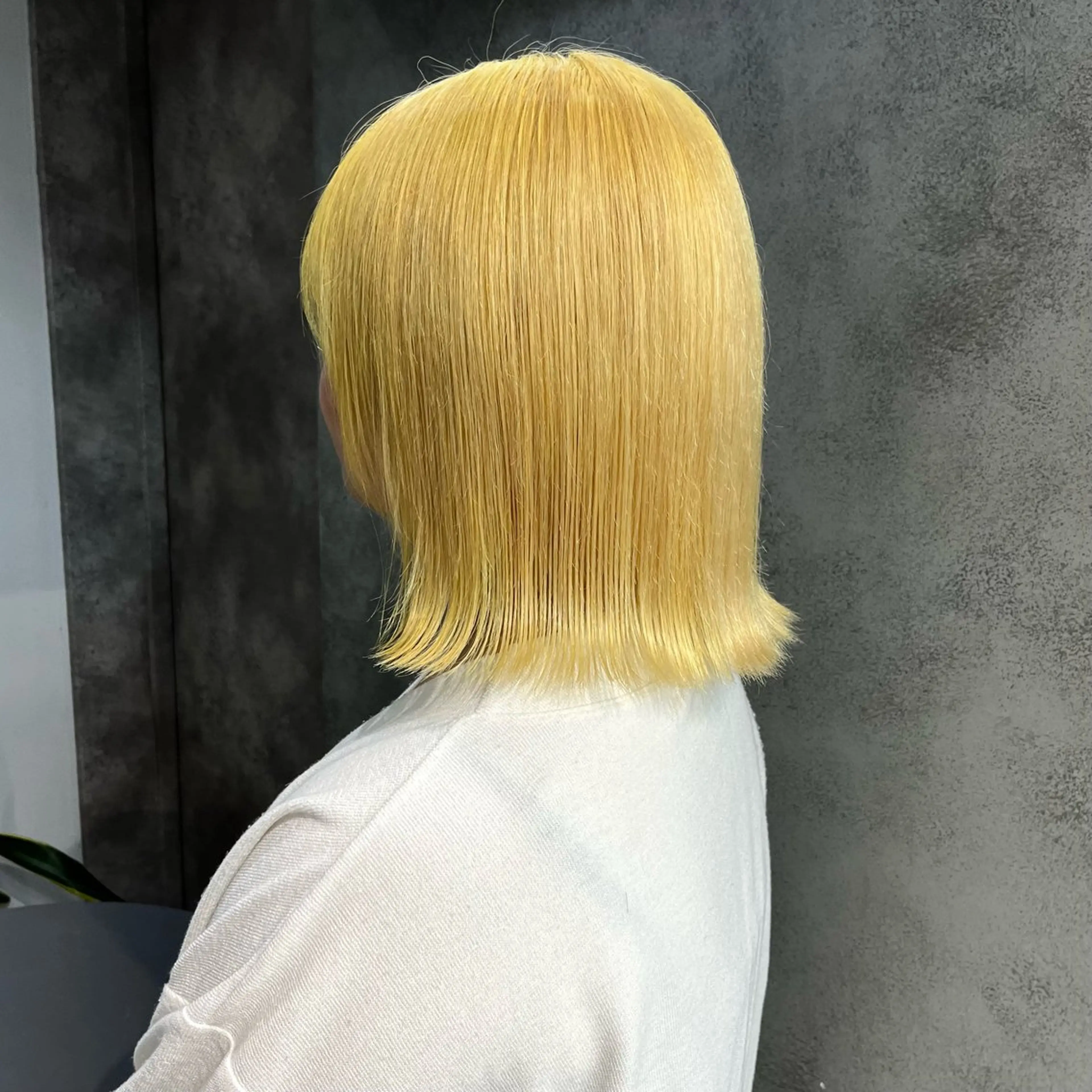 カラー 顔まわり/ボブウルフ 🤍愛唯(めい)のヘアスタイル