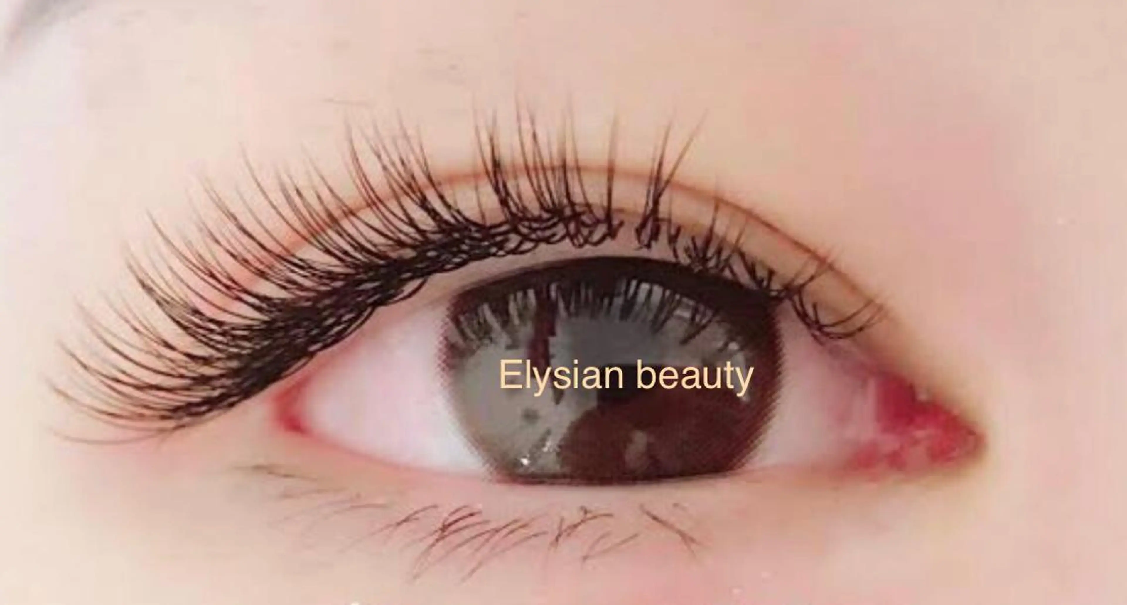 【再来】🉐3Dボリュームラッシュ400本　¥6980の写真