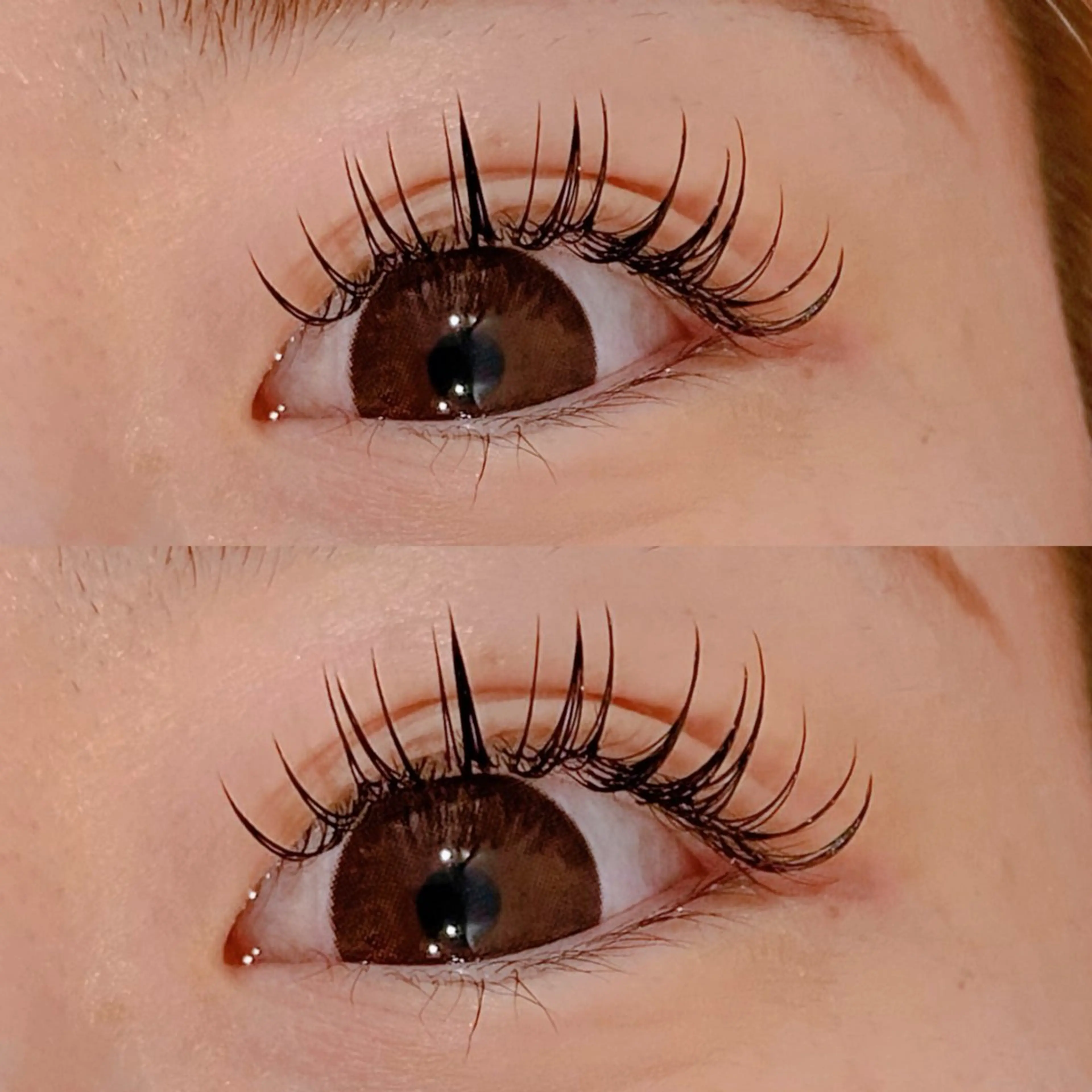 ご新規様限定‼️🌟フラットラッシュ140本つけ放題🎀他店オフ込 🫧束感コーティング付きの写真