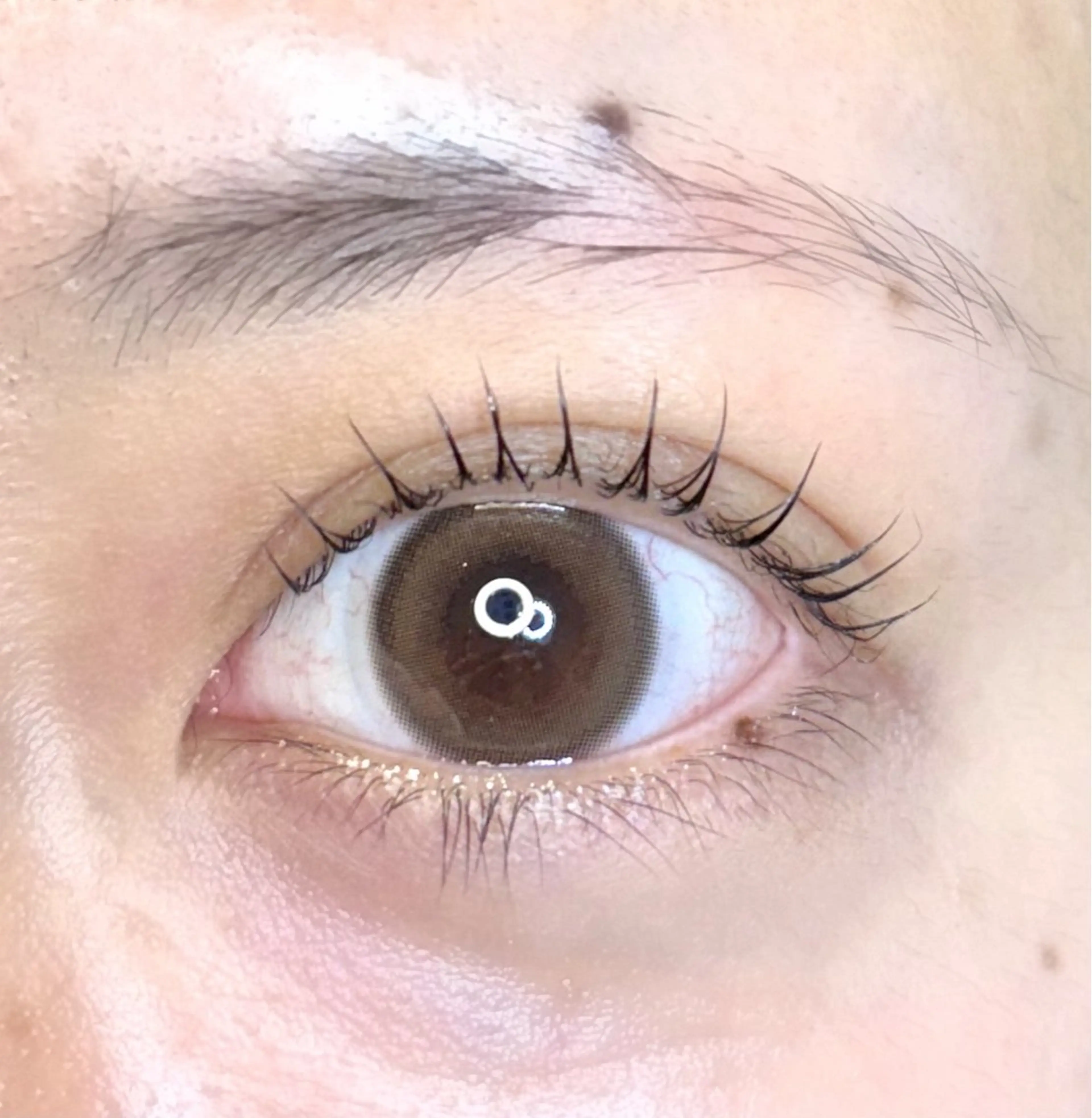 【担当KANO】パリジェンヌ上のみ ご新規様限定価格です☘️1日2人限定になります😌JrアイリストKANO限定🫧の写真