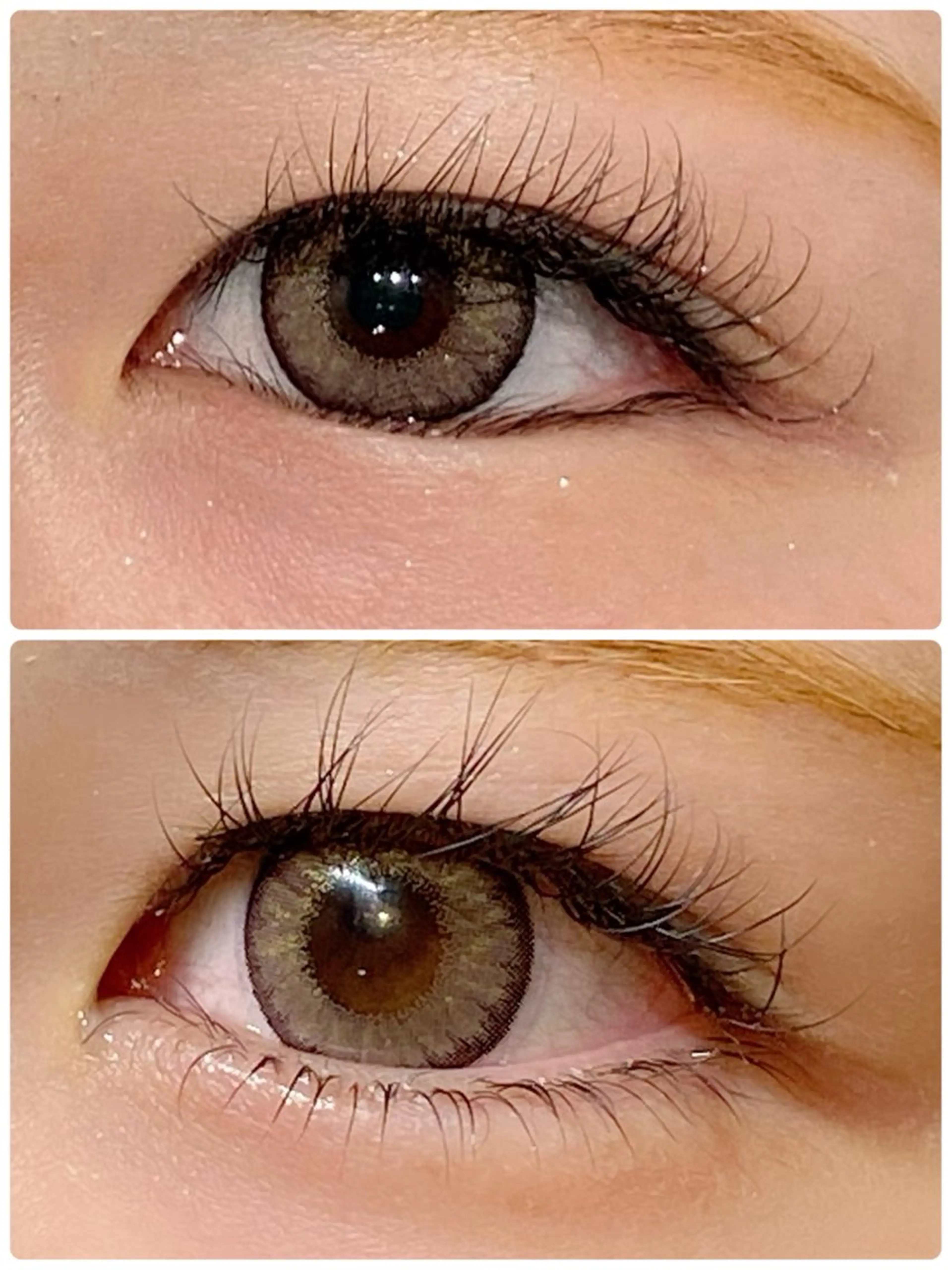 下まつ毛カール🫧アフタートリートメント付きの写真