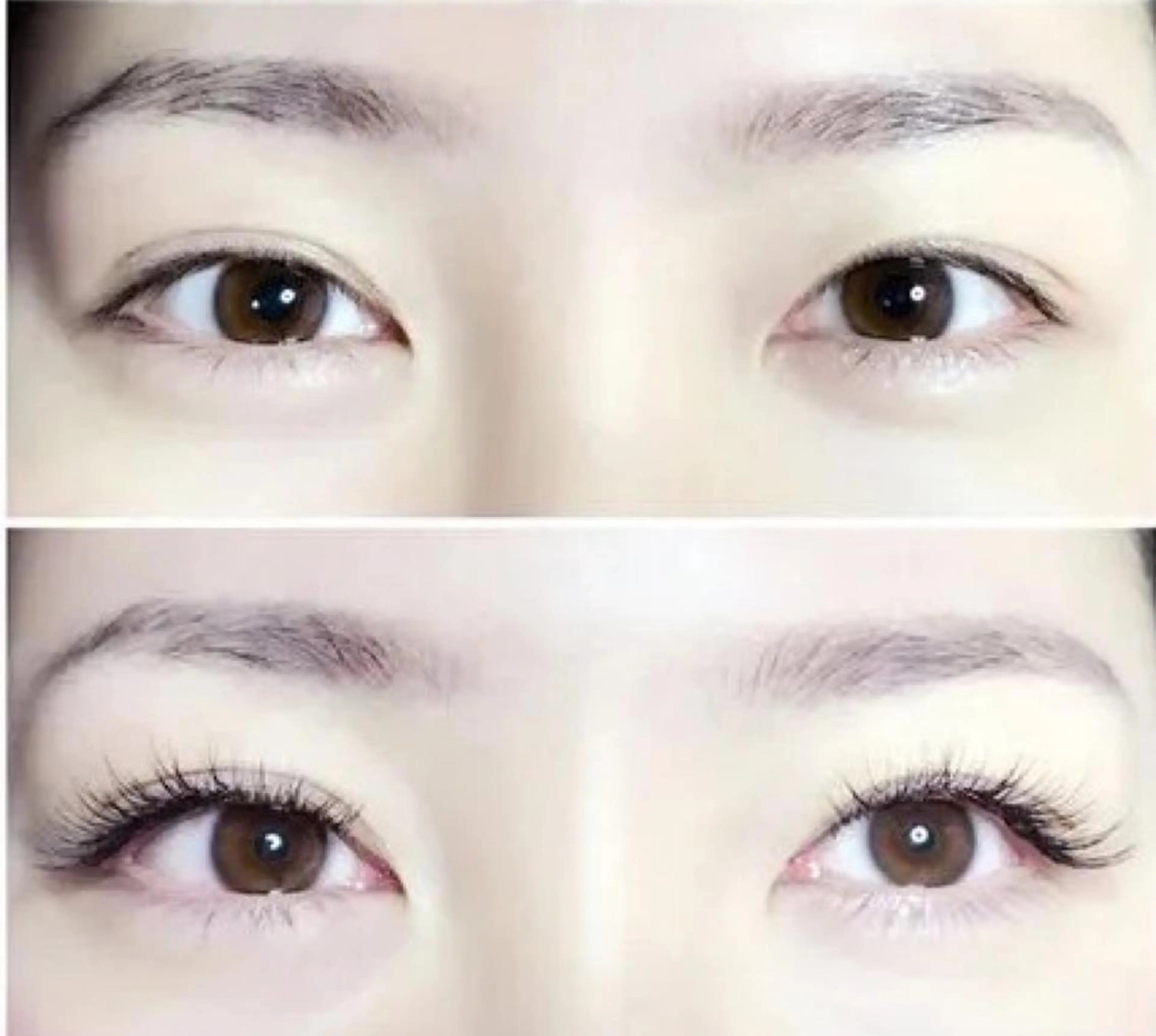 マツエク・マツパ マツエク 羽賀 美和のマツエク・マツパデザイン