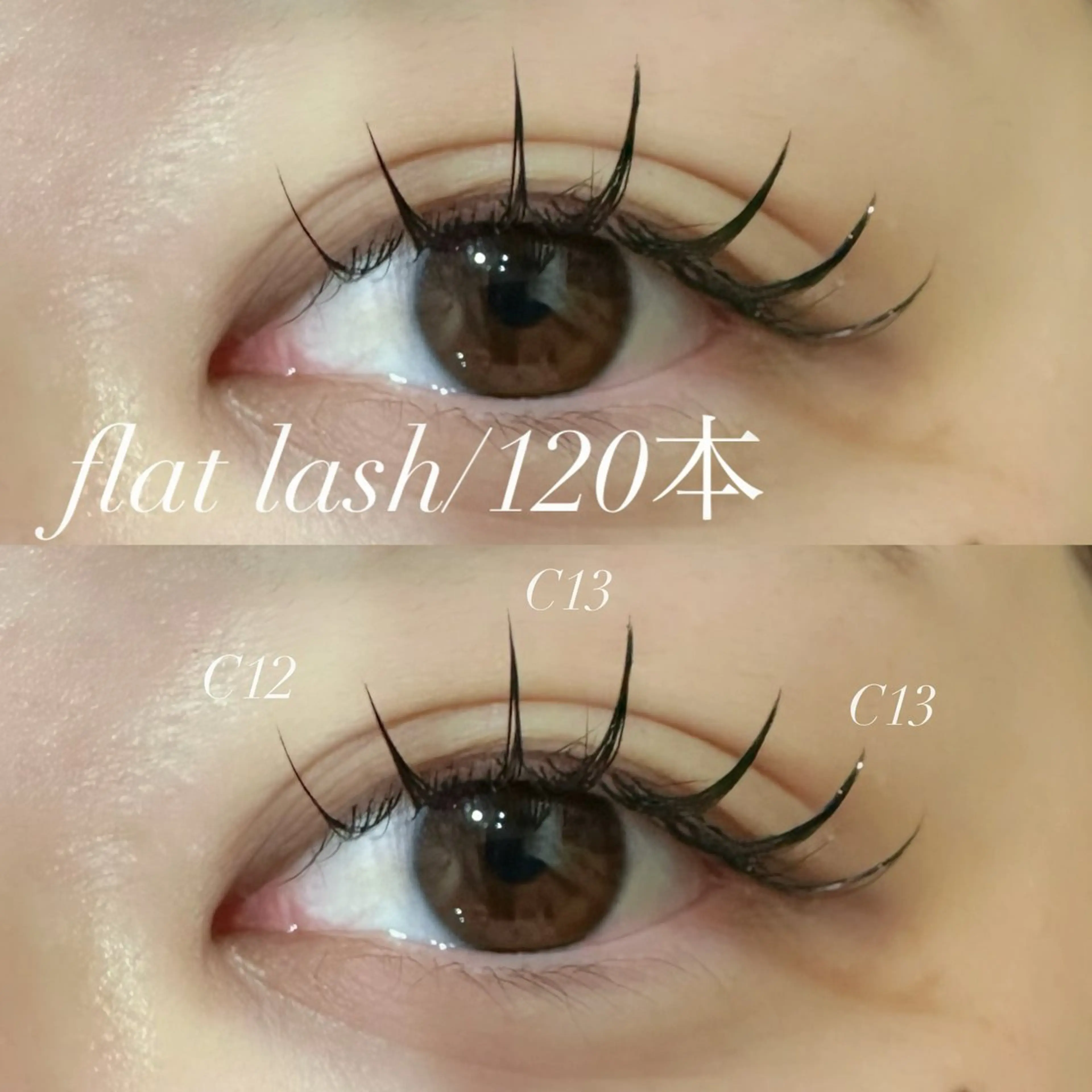 フラットラッシュ120本の写真