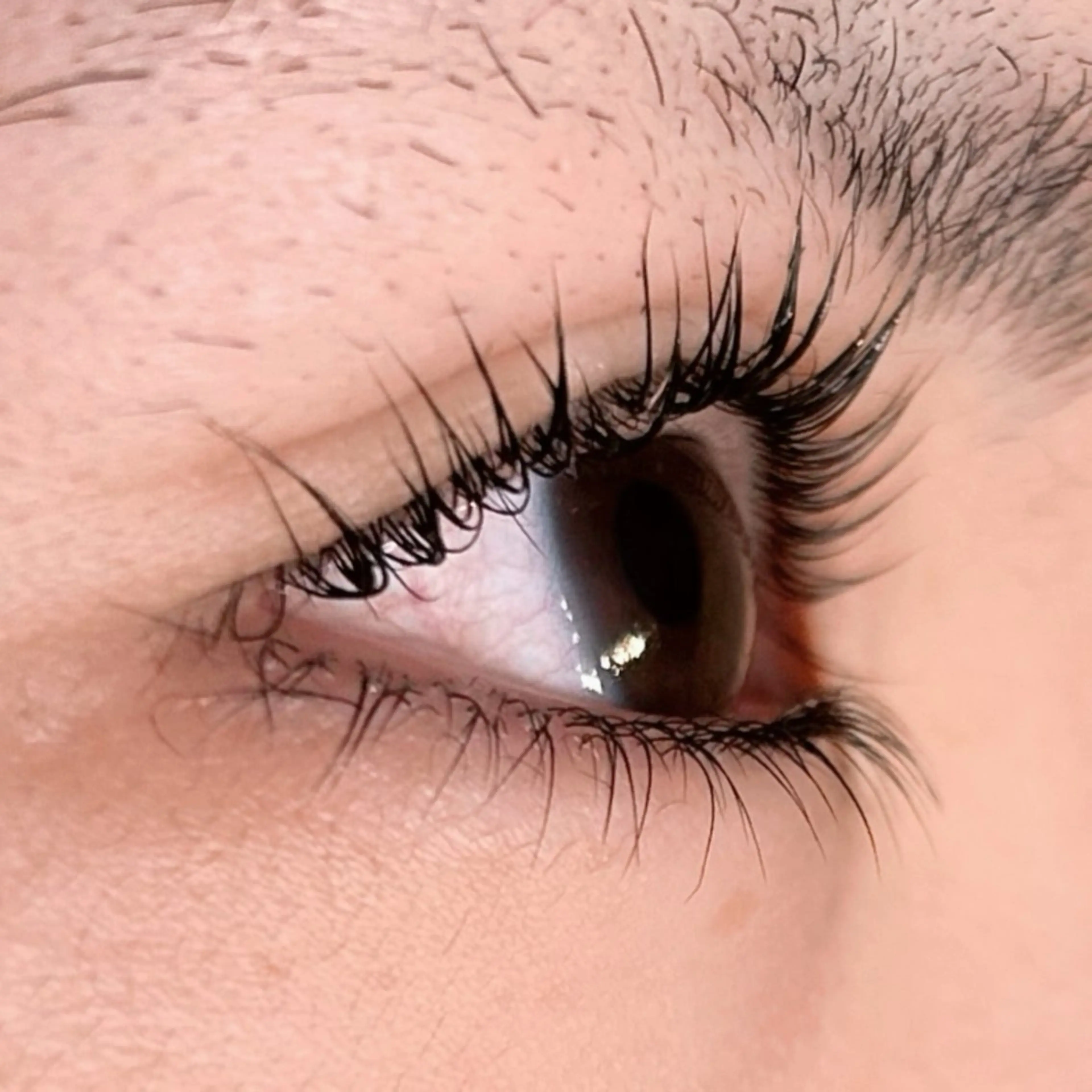 マツエク・マツパ パリジェンヌラッシュリフト soposilma 🧸今季OPENのマツエク・マツパデザイン