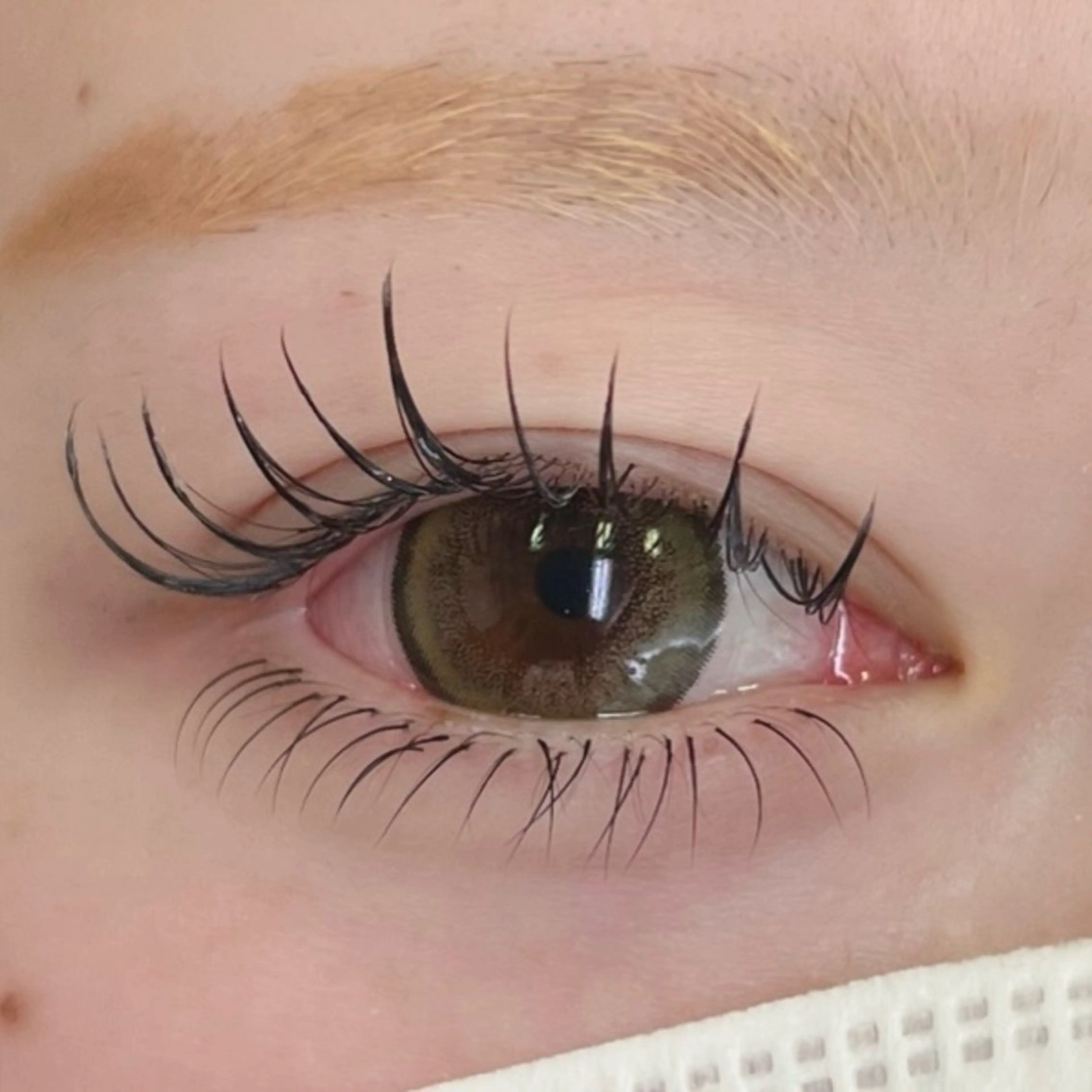 マツエク・マツパ マツエク Moe/韓国風/ 束感/キュート❤︎のマツエク・マツパデザイン