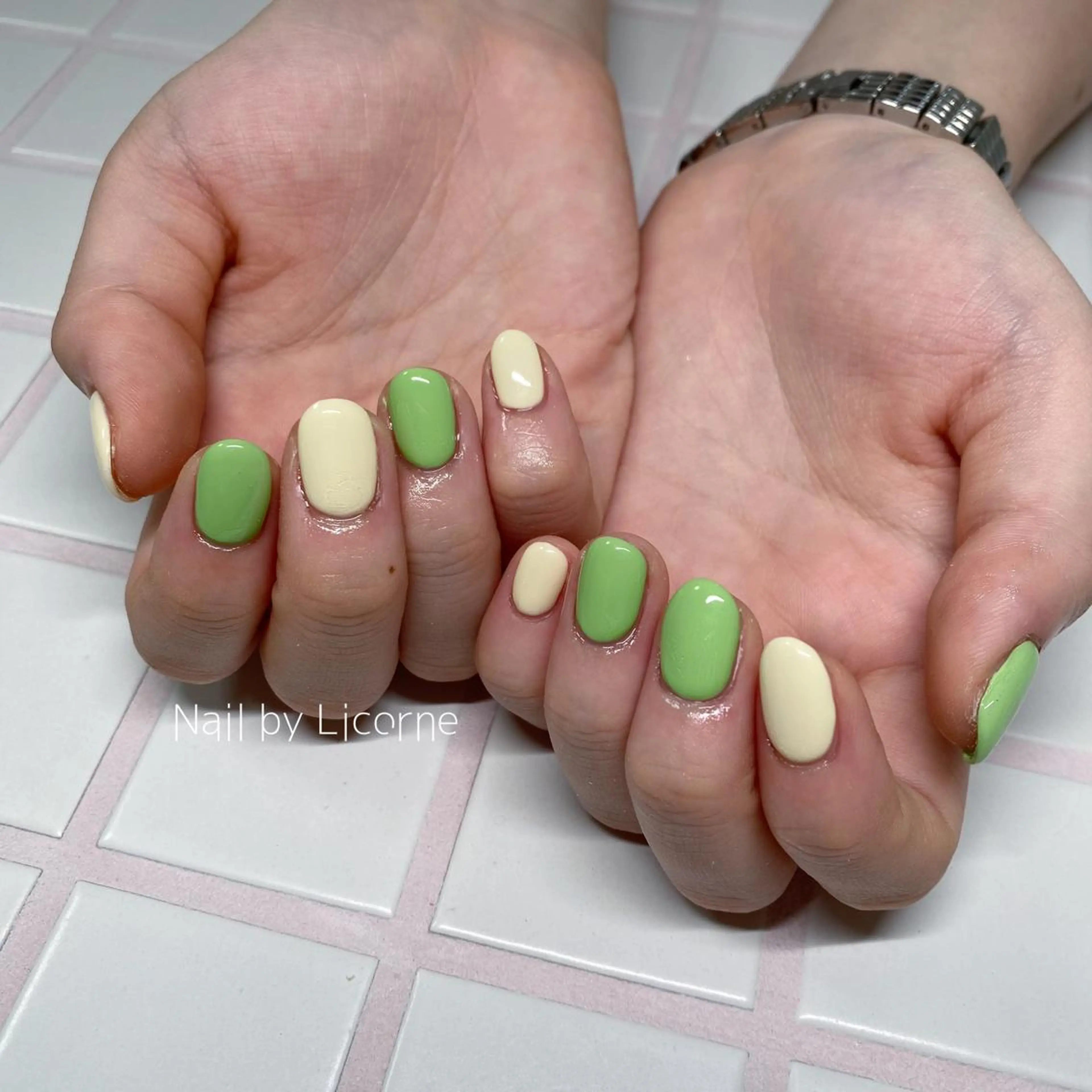 ネイル アートネイル オーロラネイル フレンチネイル 氷ネイル・うるうるネイル マグネットネイル ハンドネイル Nail by Licorneのネイルデザイン