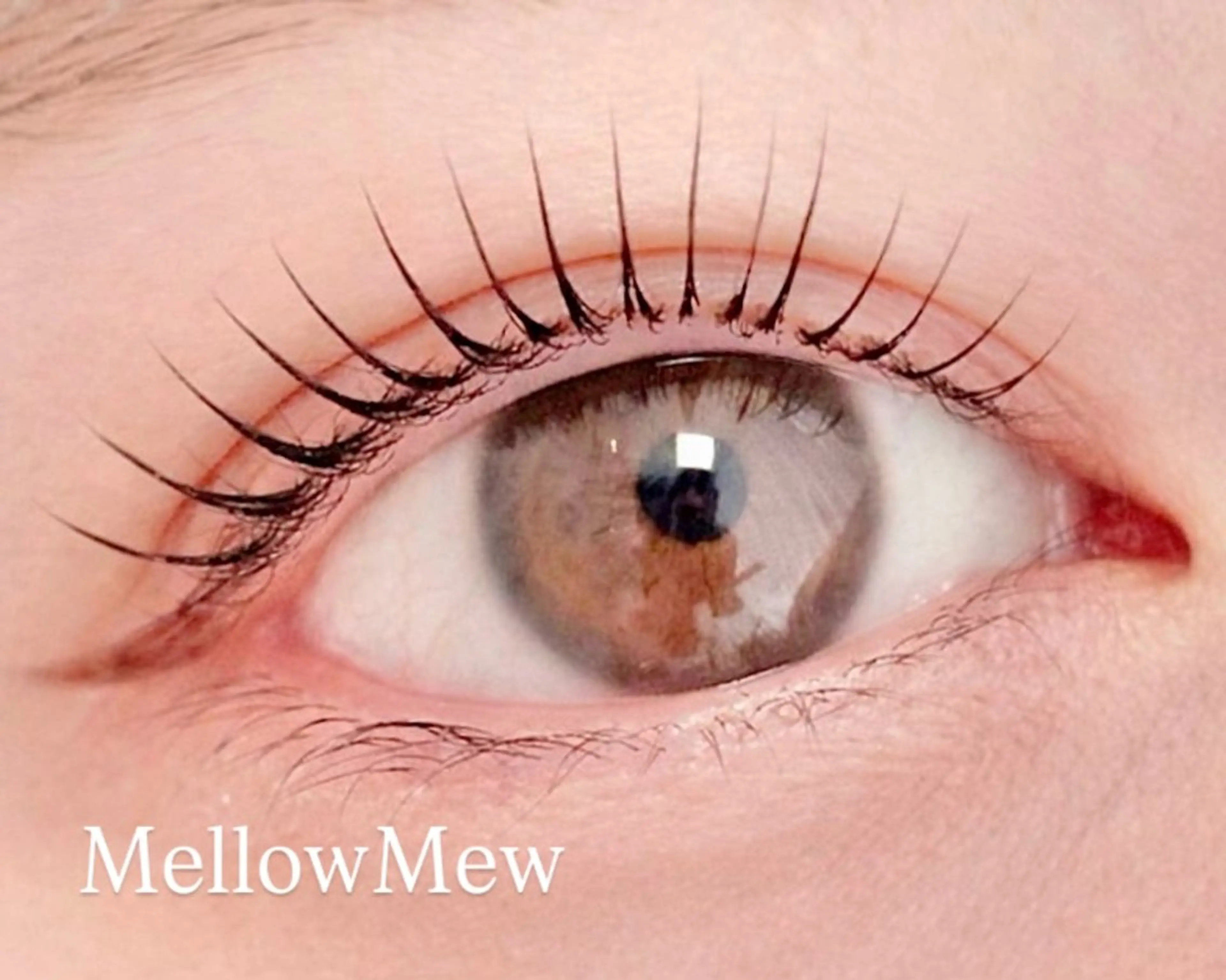 【80種類ロッド】上まつ毛パーマ【束仕上げ】の写真