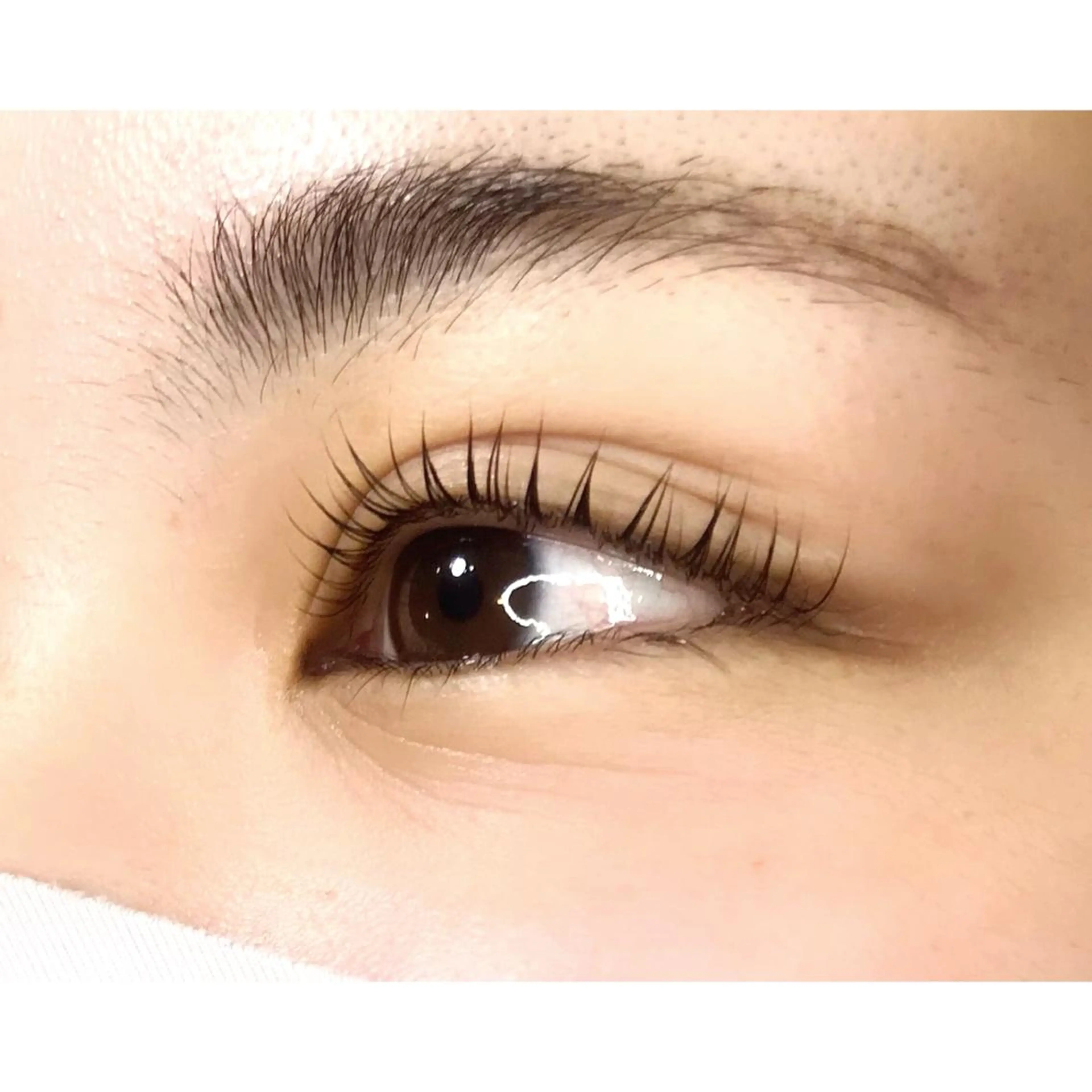 マツエク・マツパ étora eye渋谷のマツエク・マツパデザイン