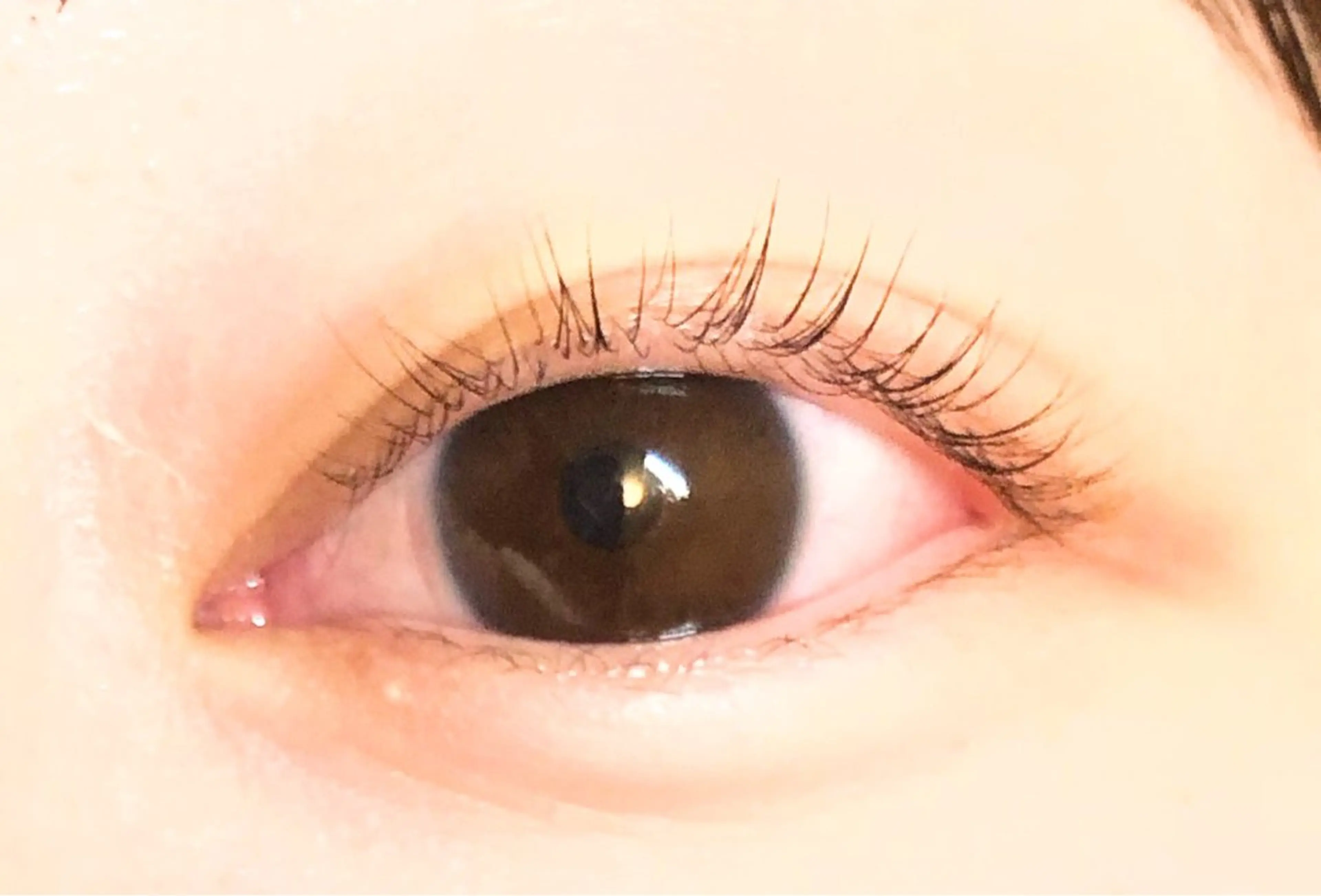 マツエク・マツパ BELINDA 24のマツエク・マツパデザイン