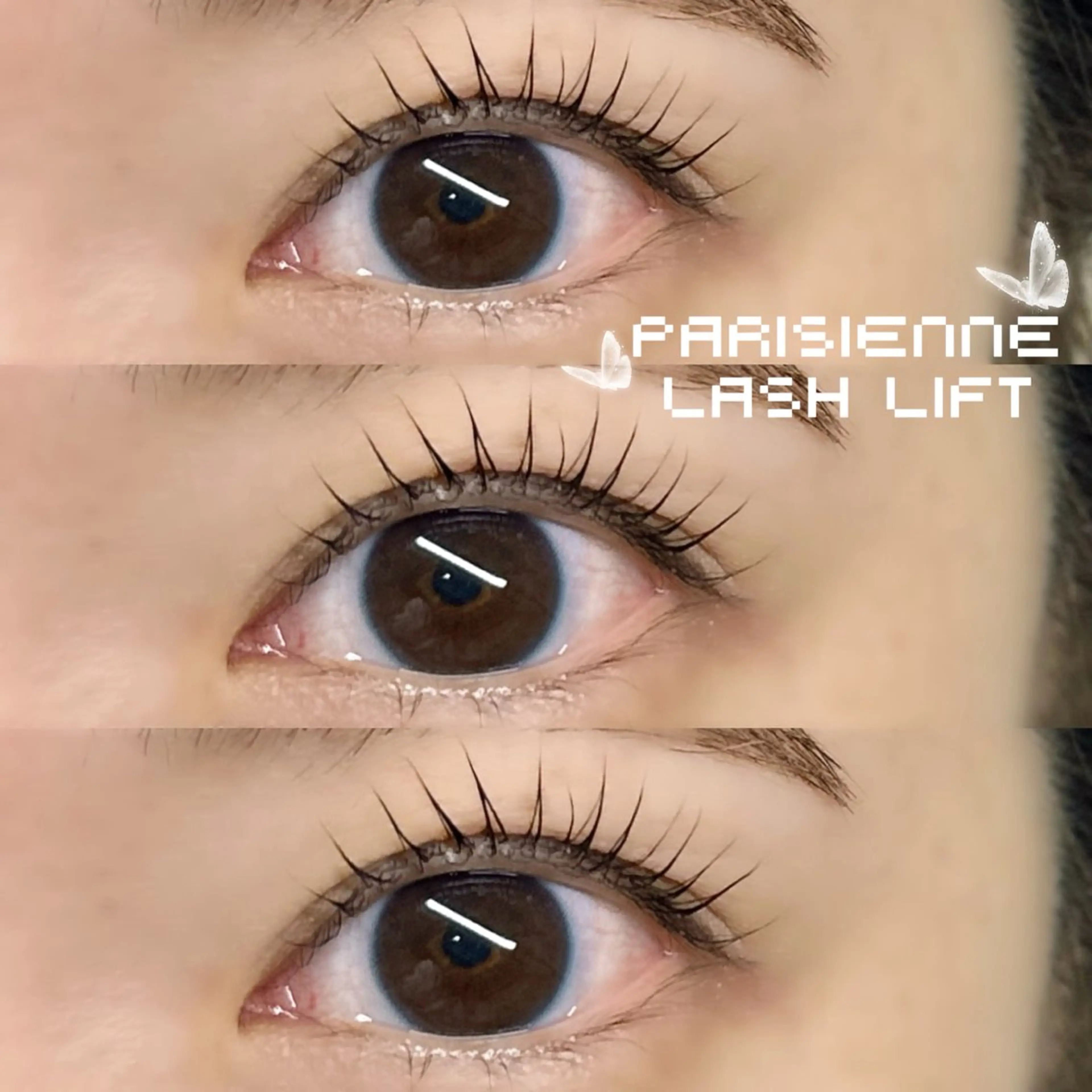 マツエク・マツパ パリジェンヌラッシュリフト 🌙mai🌙 パリジェンヌ/眉毛のマツエク・マツパデザイン