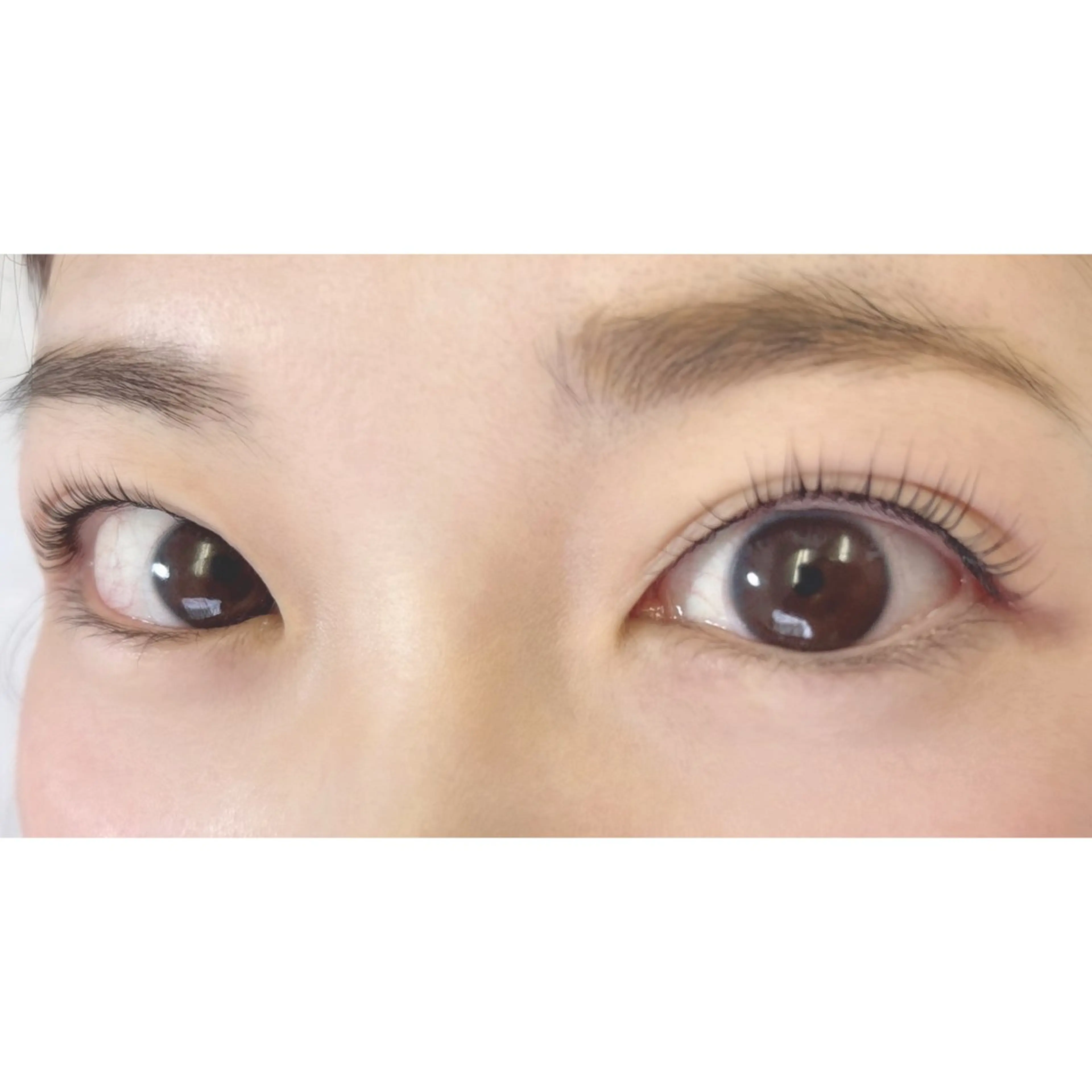 マツエク・マツパ Lカール まつげパーマ alicetokyo ..SAKURAの眉毛・アイブロウイメージ