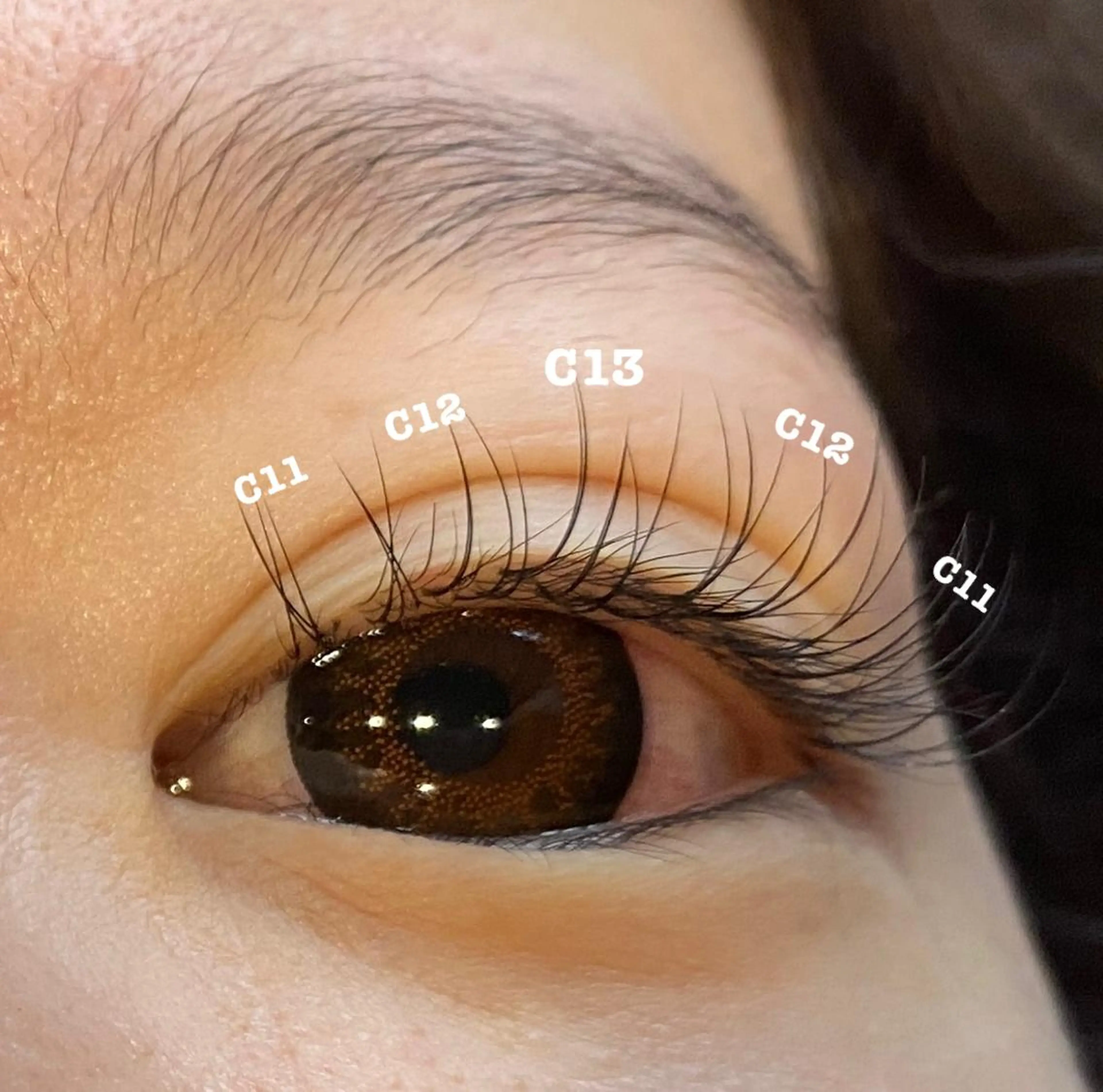 マツエク・マツパ Dahlia beauty新岩聖可のマツエク・マツパデザイン