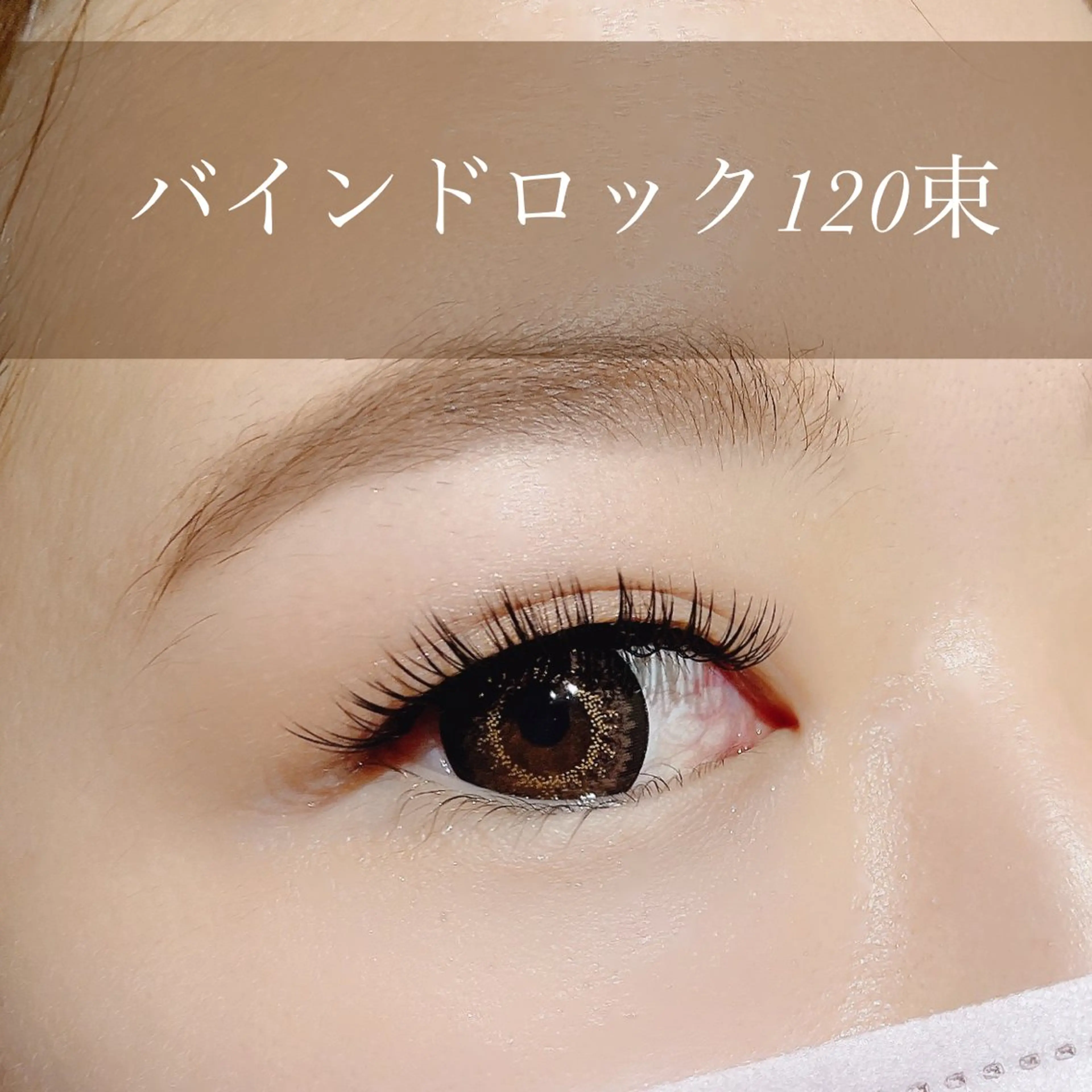 バインドロック120束の写真