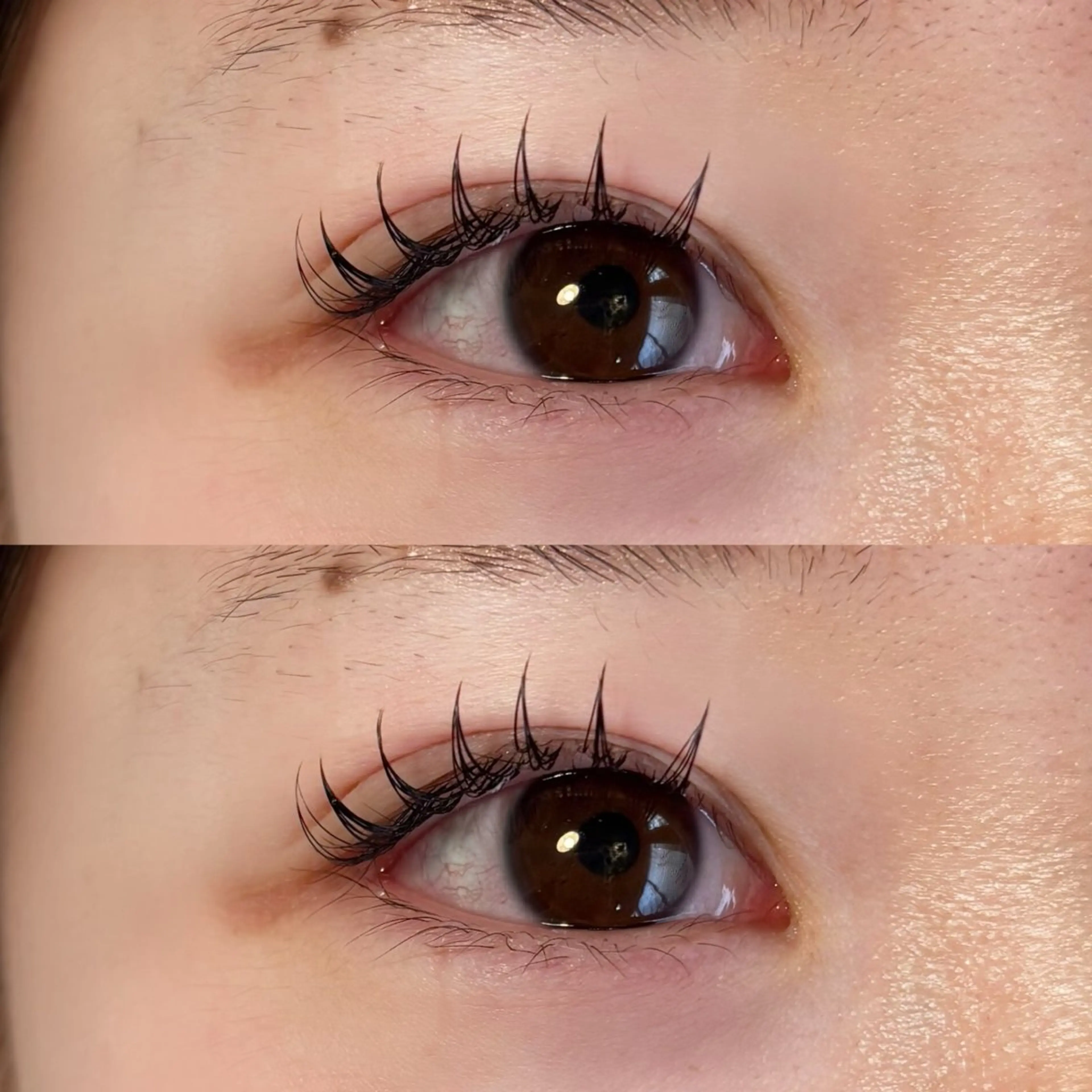 マツエク・マツパ フラットラッシュ 🍇chinatsu 🍇en Rêveのマツエク・マツパデザイン