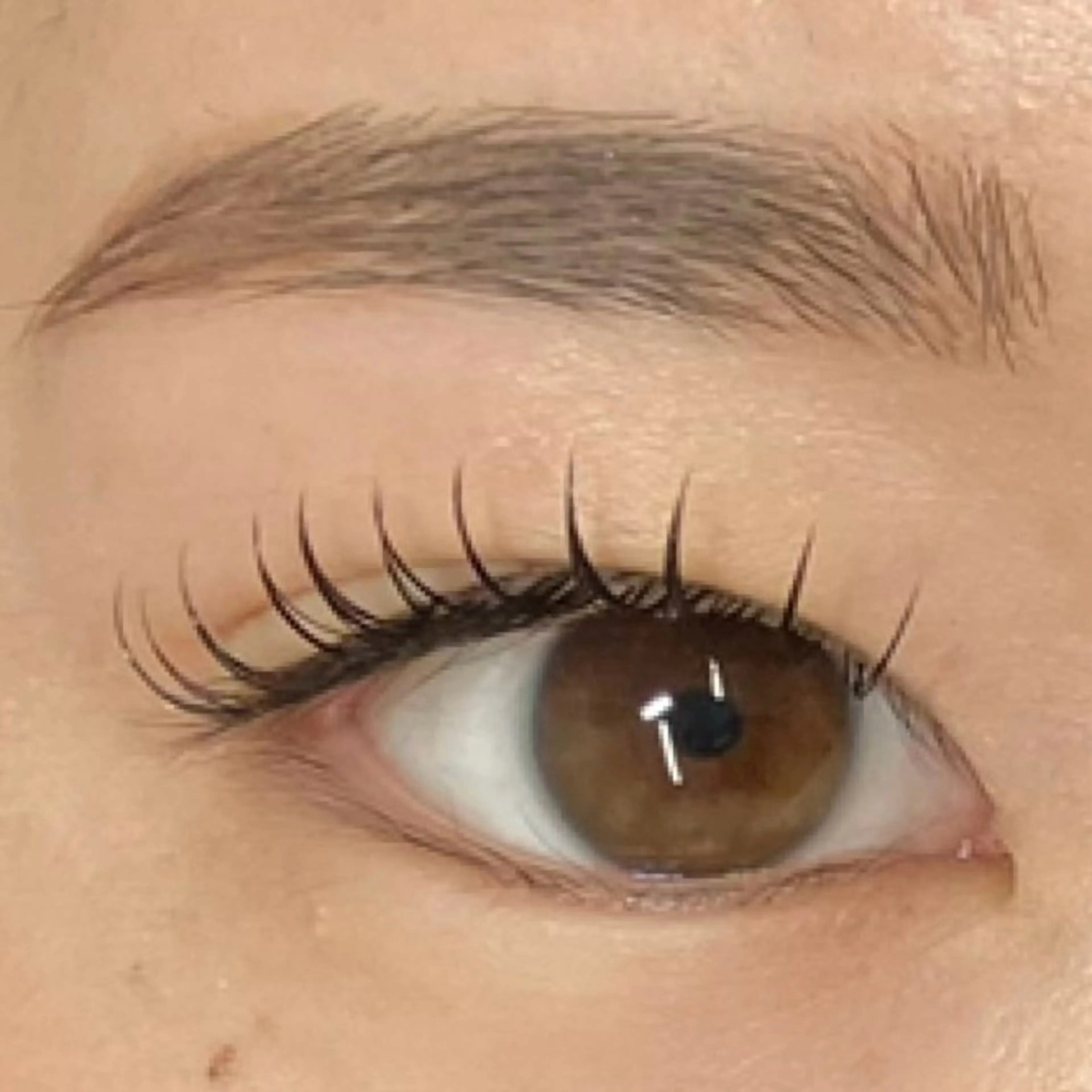 マツエク・マツパ 束感まつ毛 Dカール まつげと眉毛のお店Sakura Lash【サクララッシュ】所属・【ダメージケア特化】 🌸 サクララッシュの眉毛・アイブロウイメージ