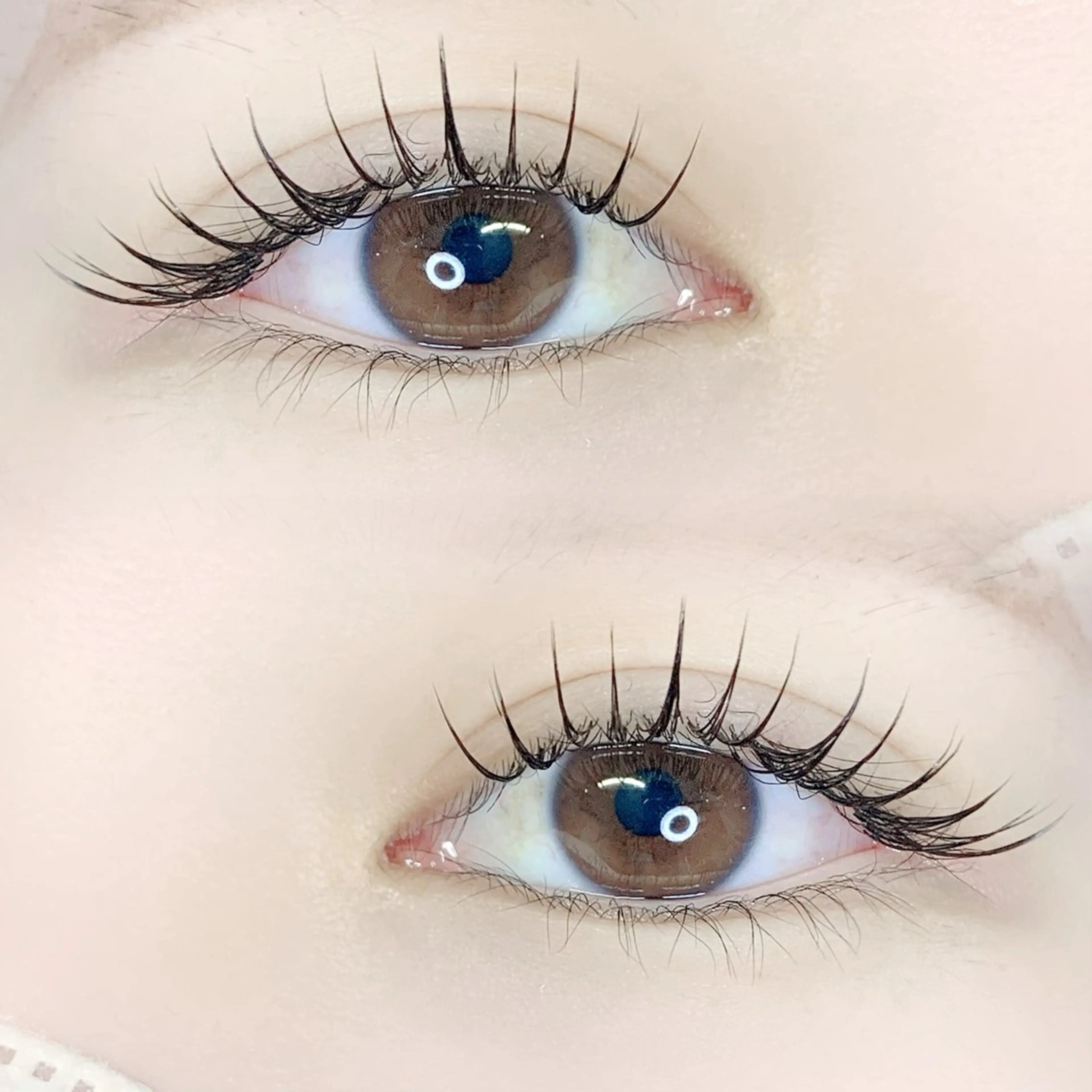 マットフラットラッシュ100本❤︎ナチュラルデザインの写真